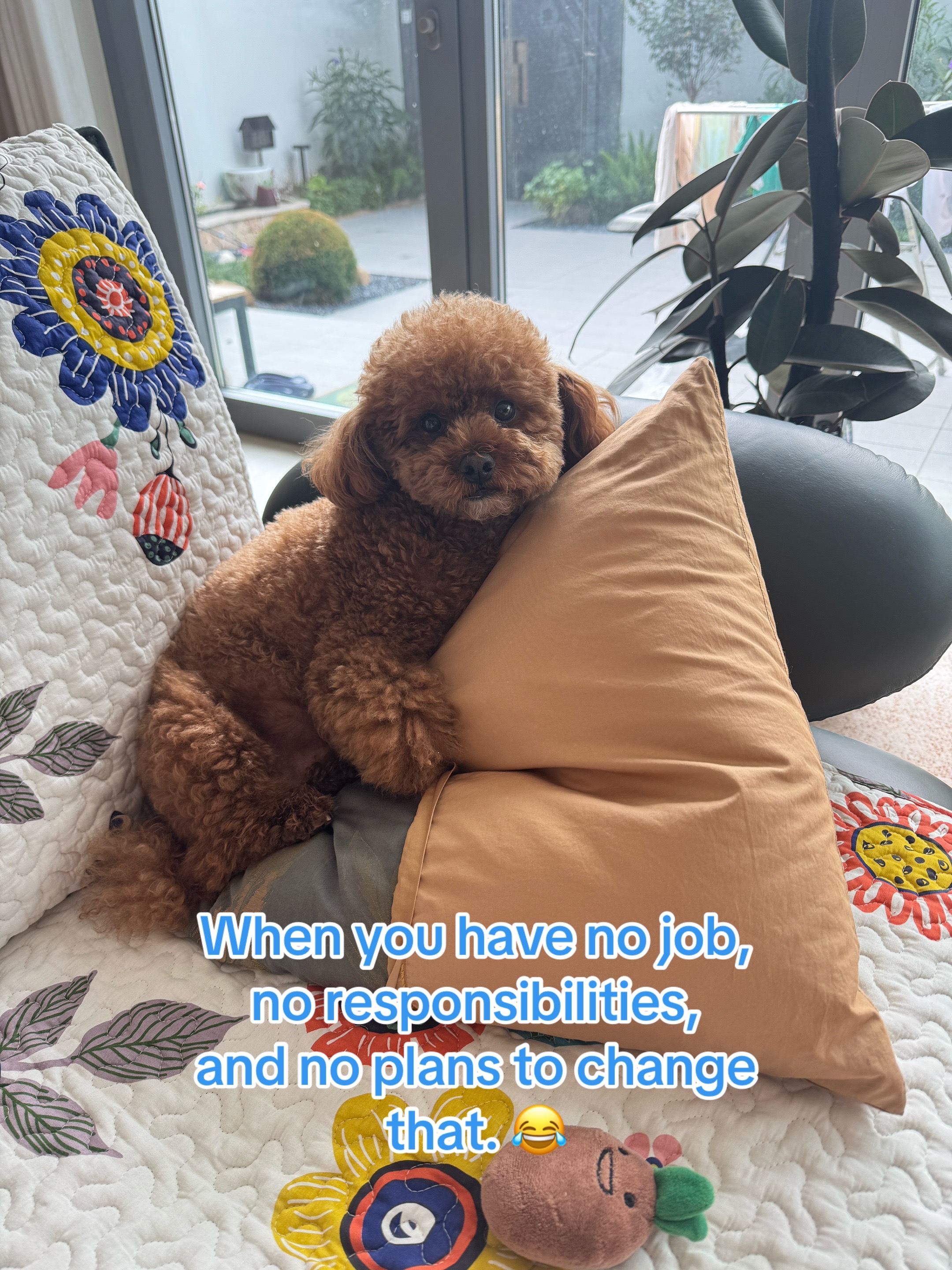 @Gizmo🧸