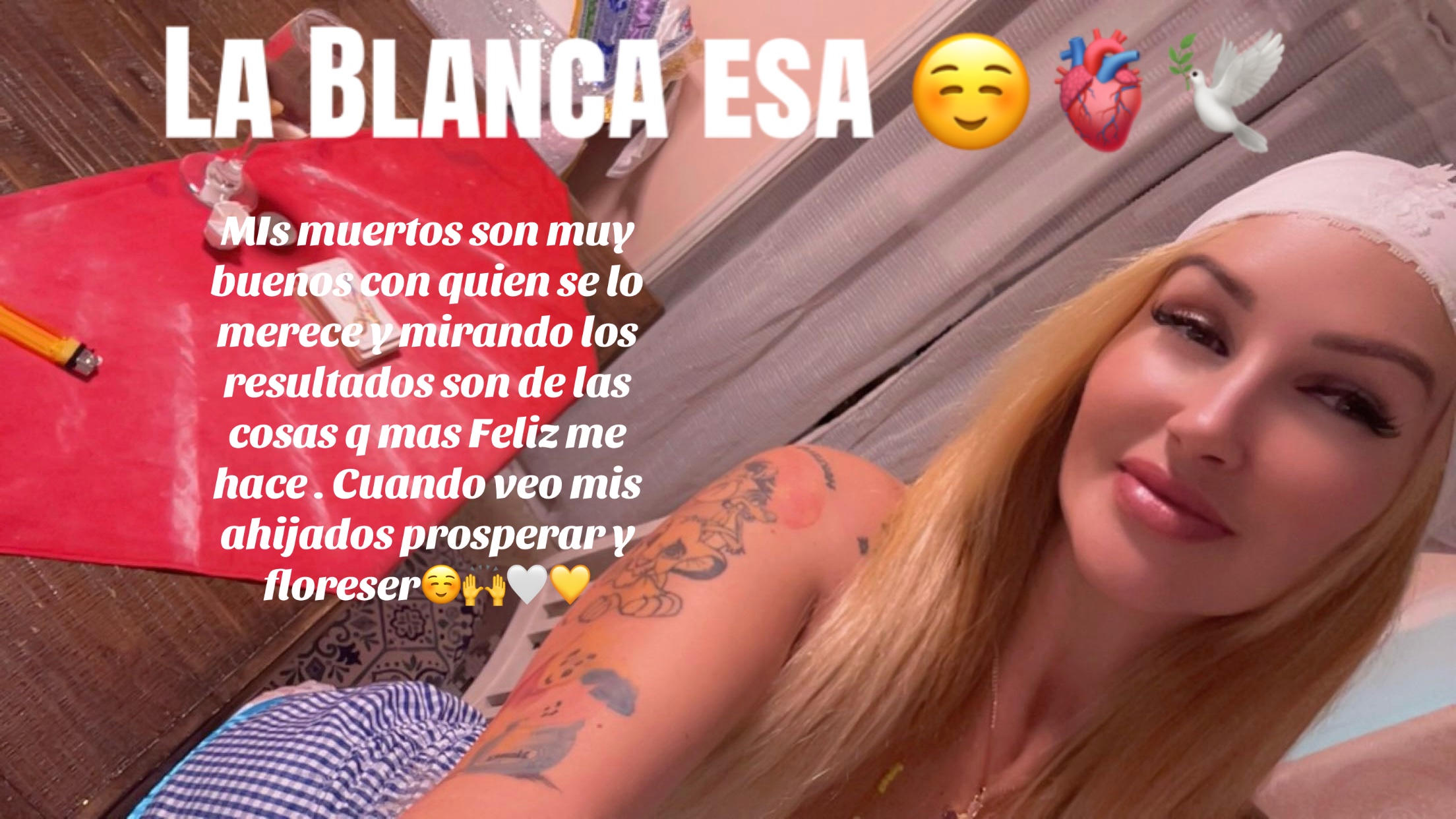 @Lacasadeeggun🤍🖤
