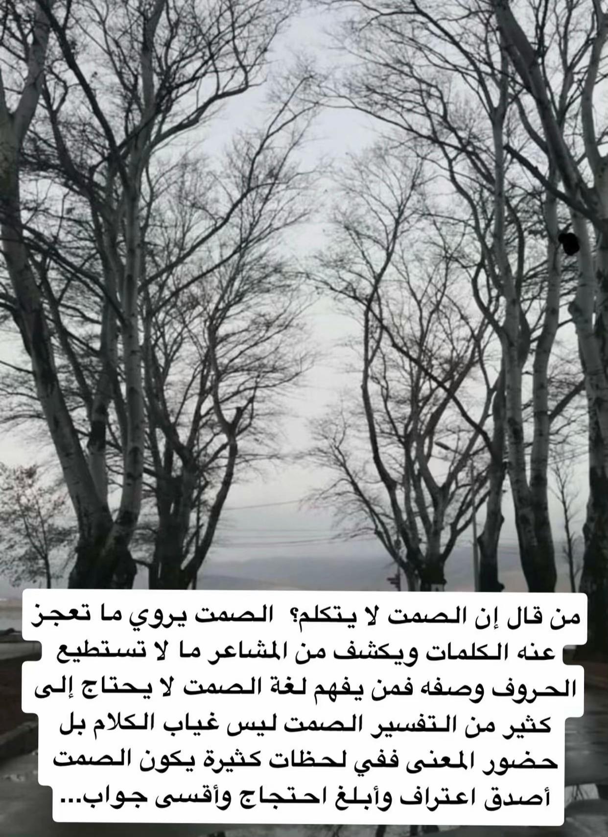 @سارة القرشي