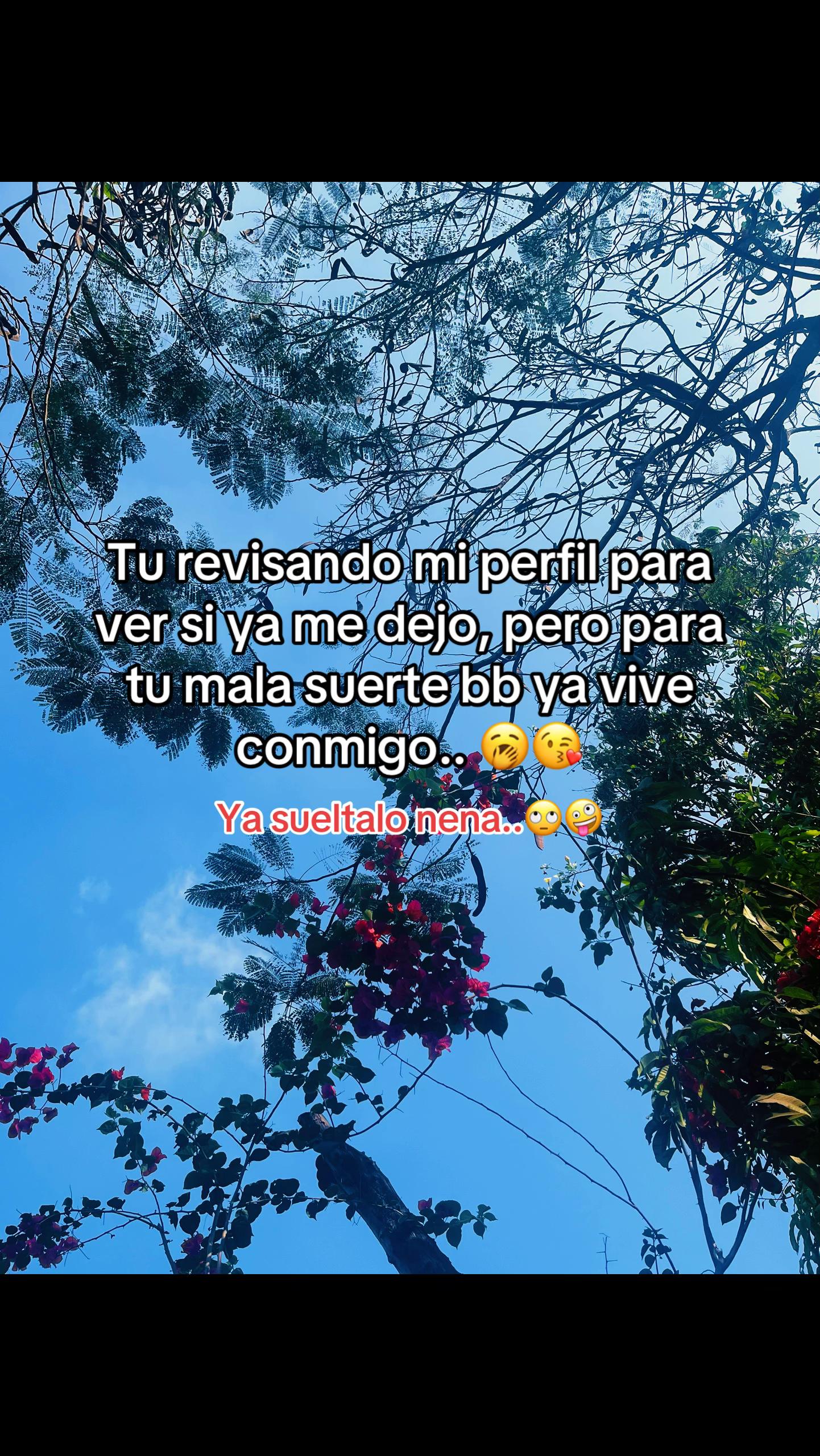 @Sandy Lara 