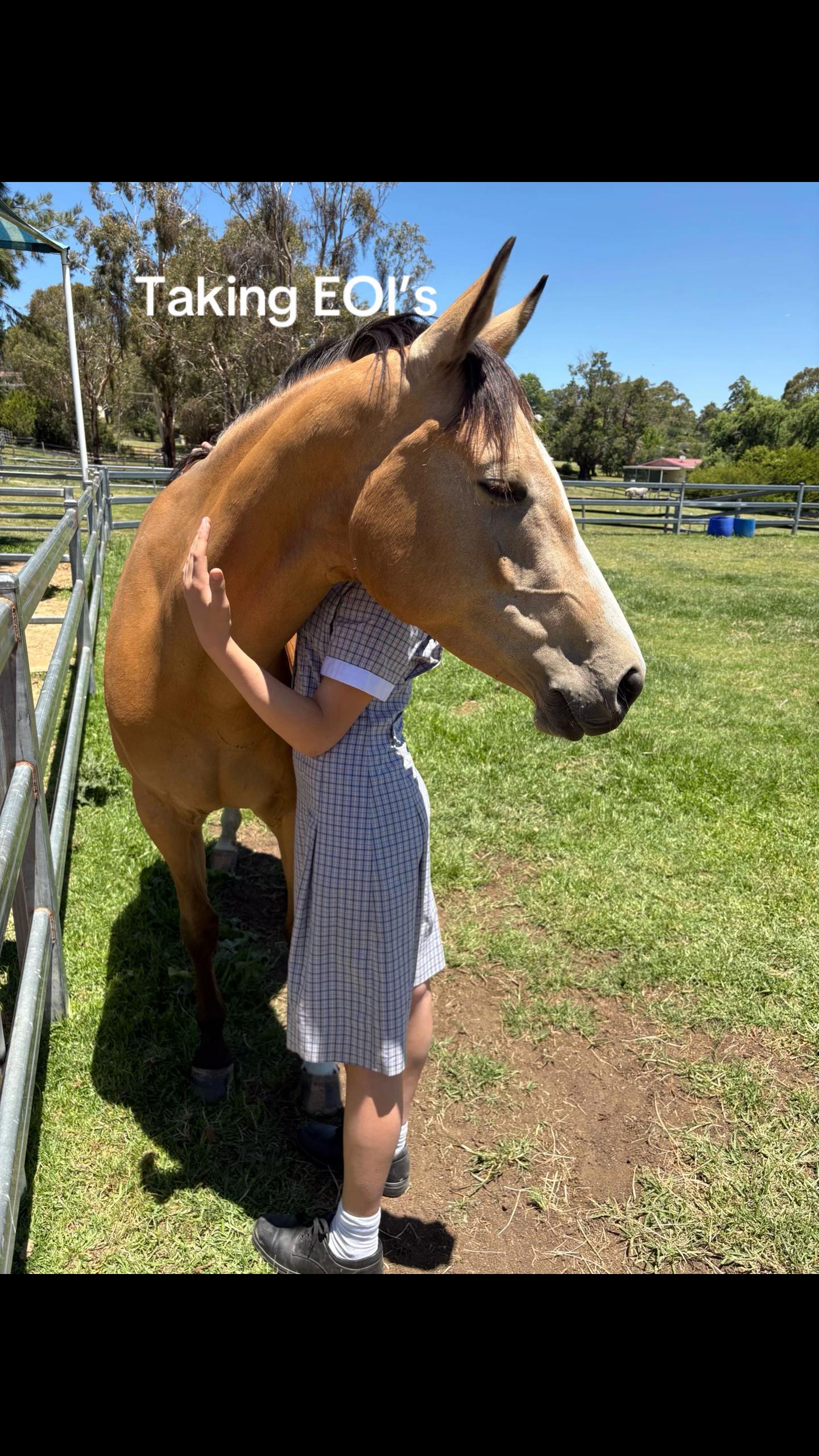 @Lyla_eventing