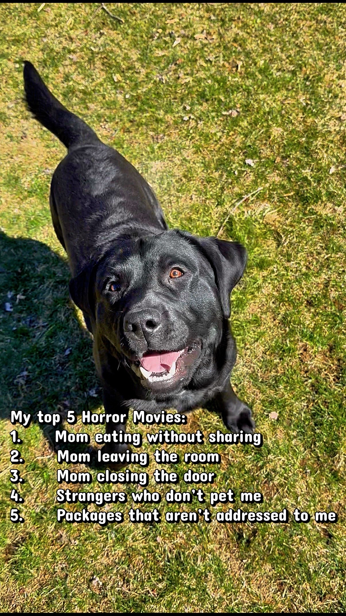 @DennisTheBlackLab