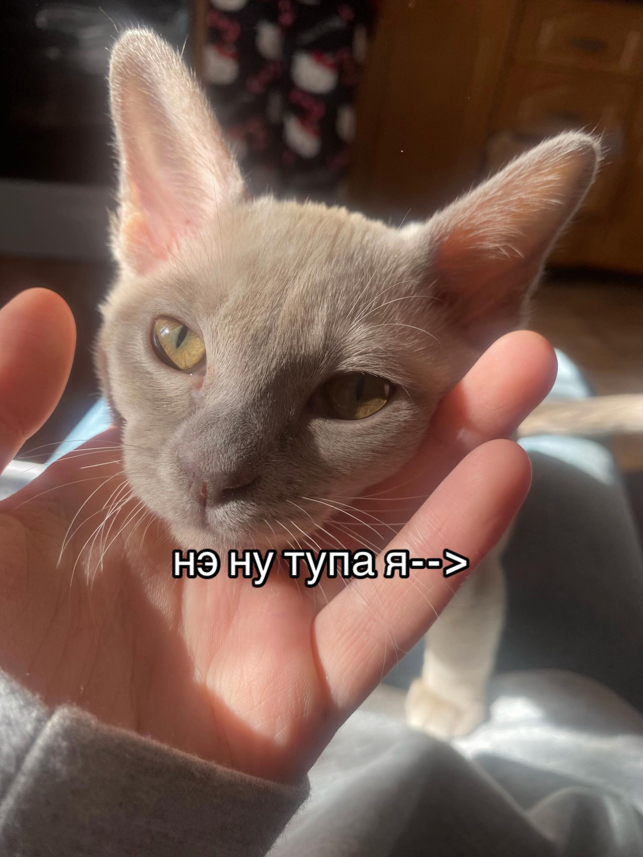 @kizilbe