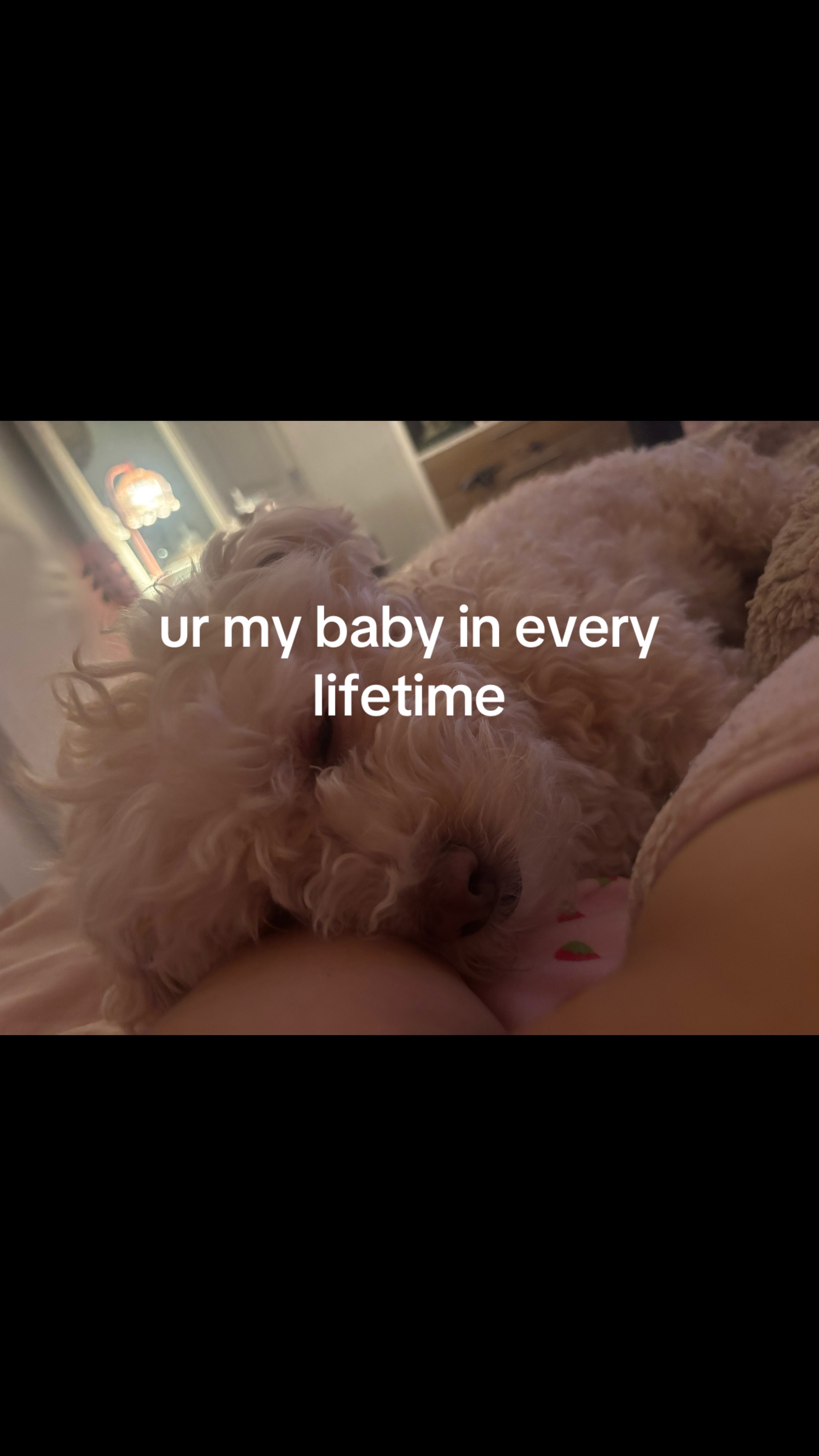 @vanessa