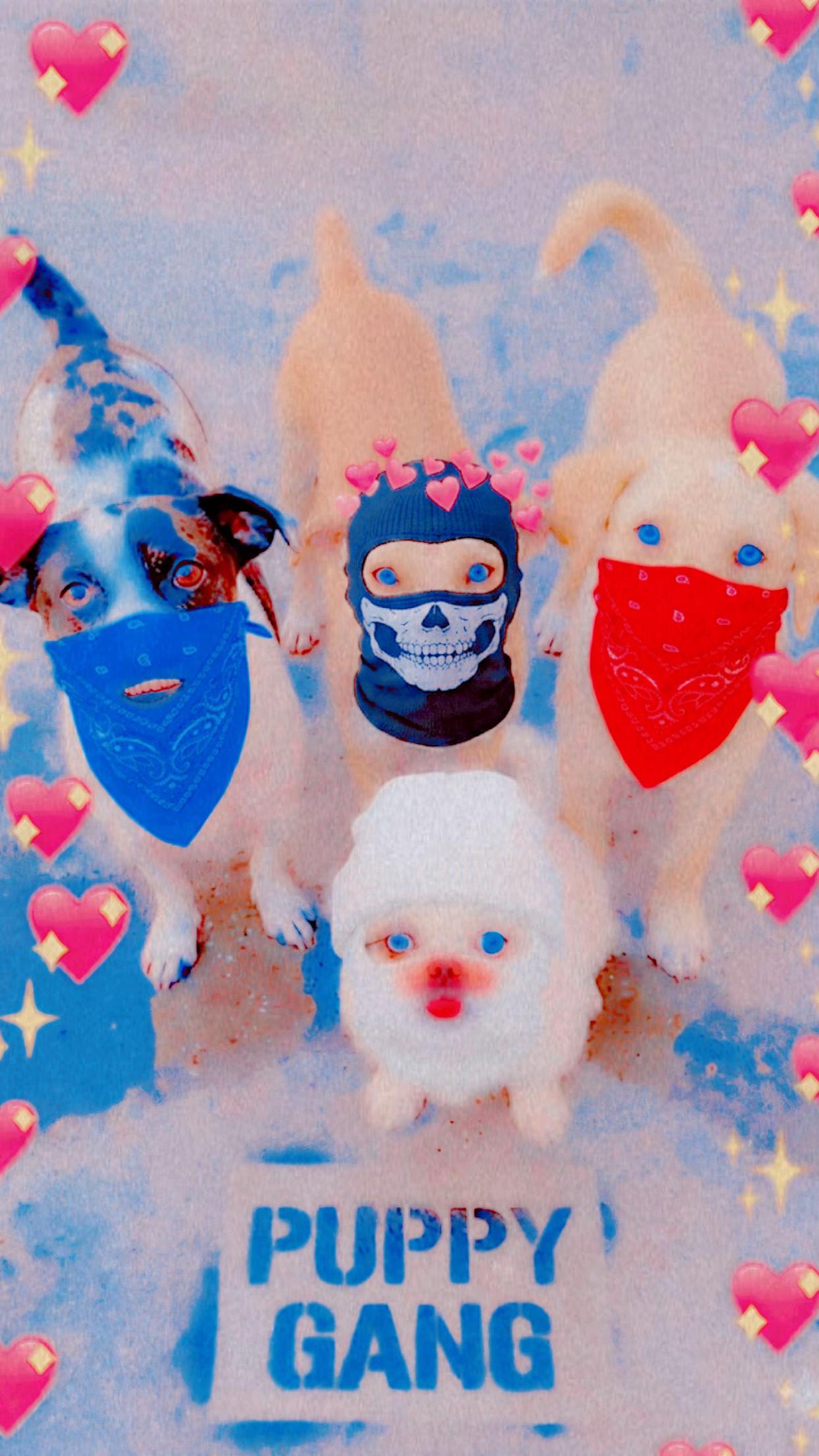 @๐ููุงุจ ุงูุดูุงุฑุน๐