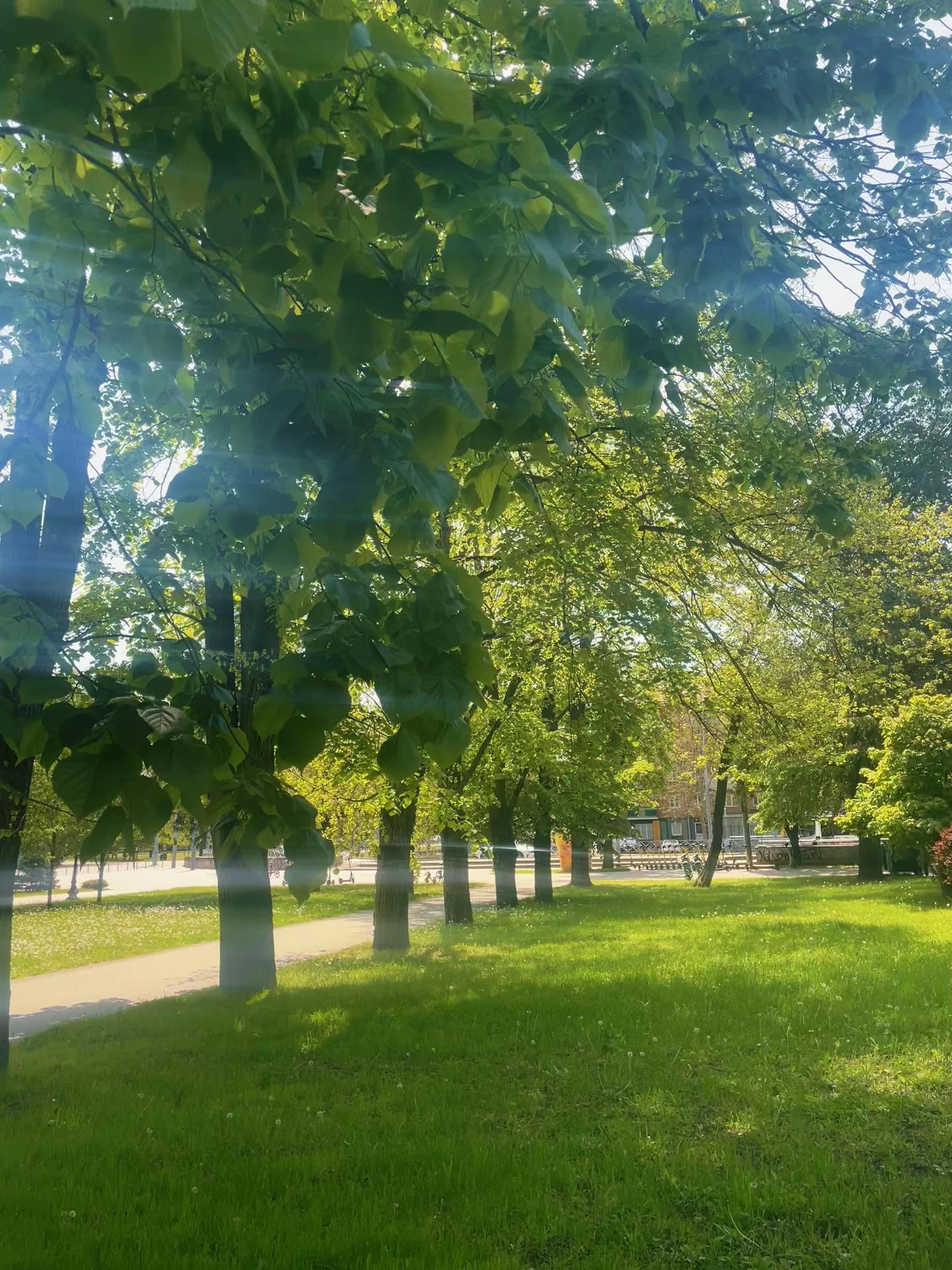 @лисицкая