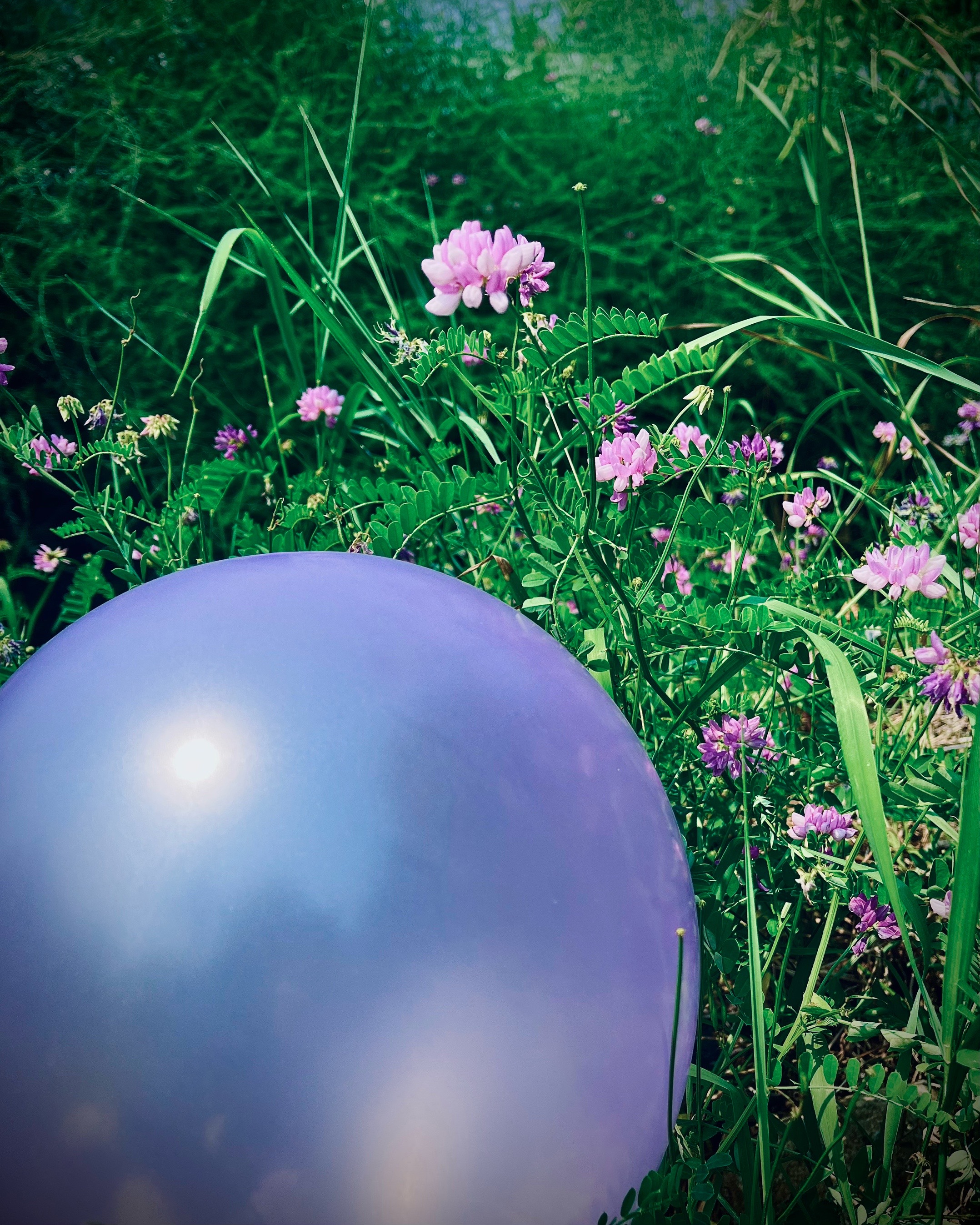 @The Looner Ballooner