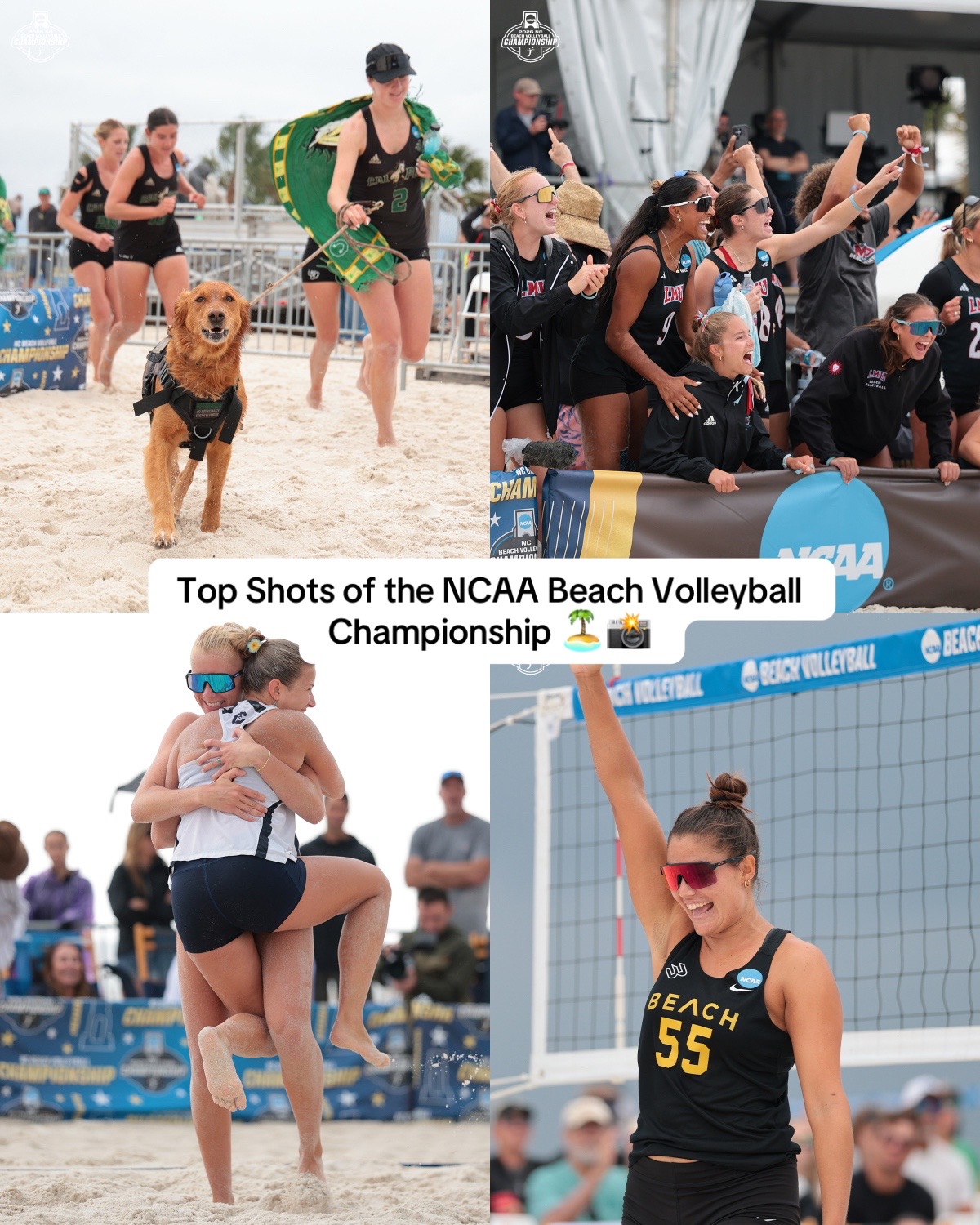 @NCAA Volleyball