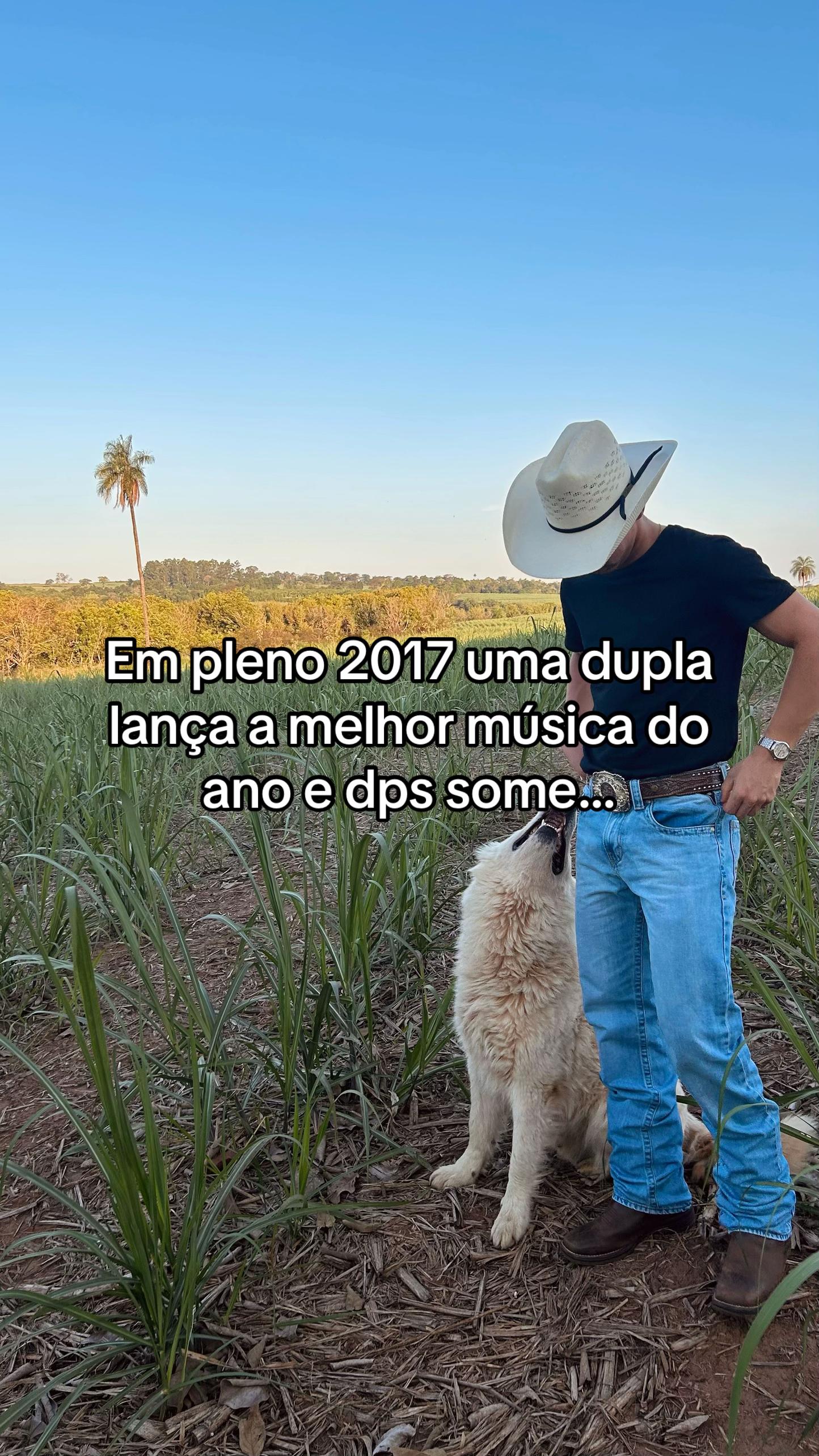 @jo&atilde;o sanches