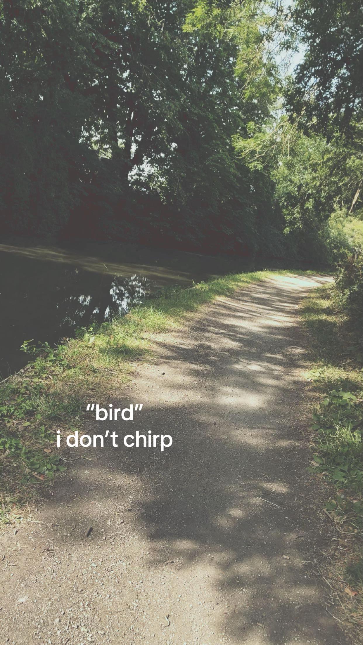 @𝓁𝒾𝓋𝓋𝓎🤍.