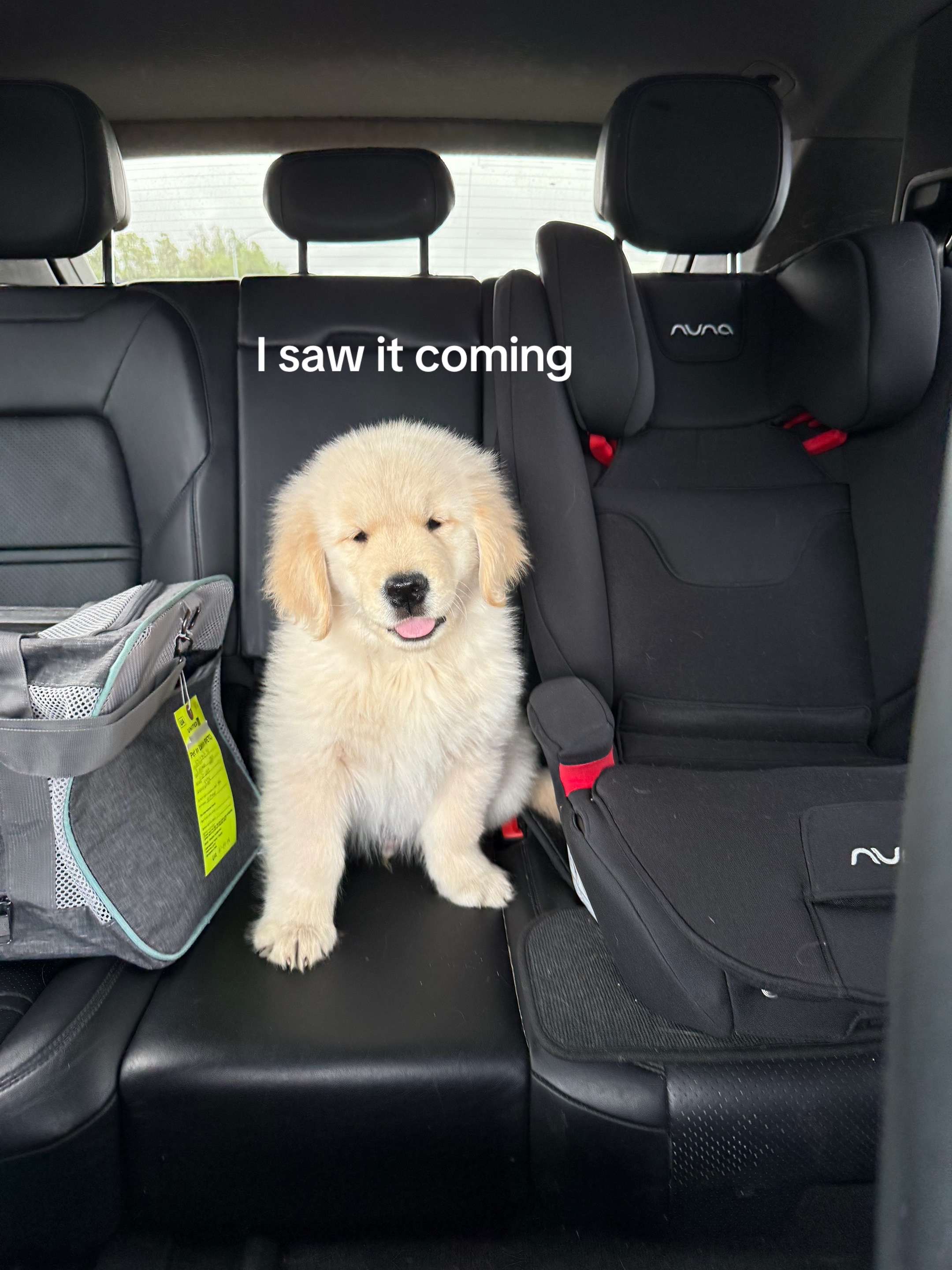 @Maui, Ruby +Hugo