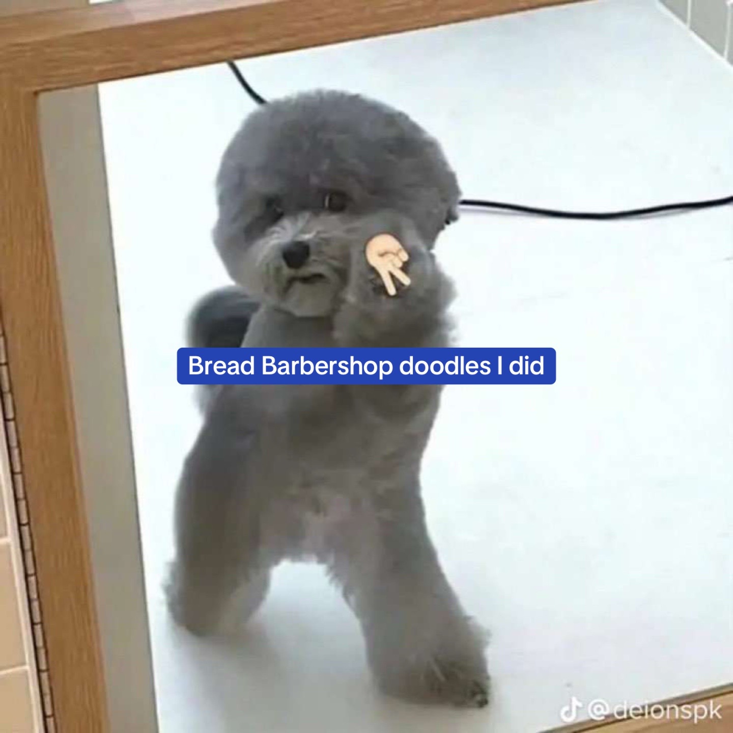 @❤️CB🩷
