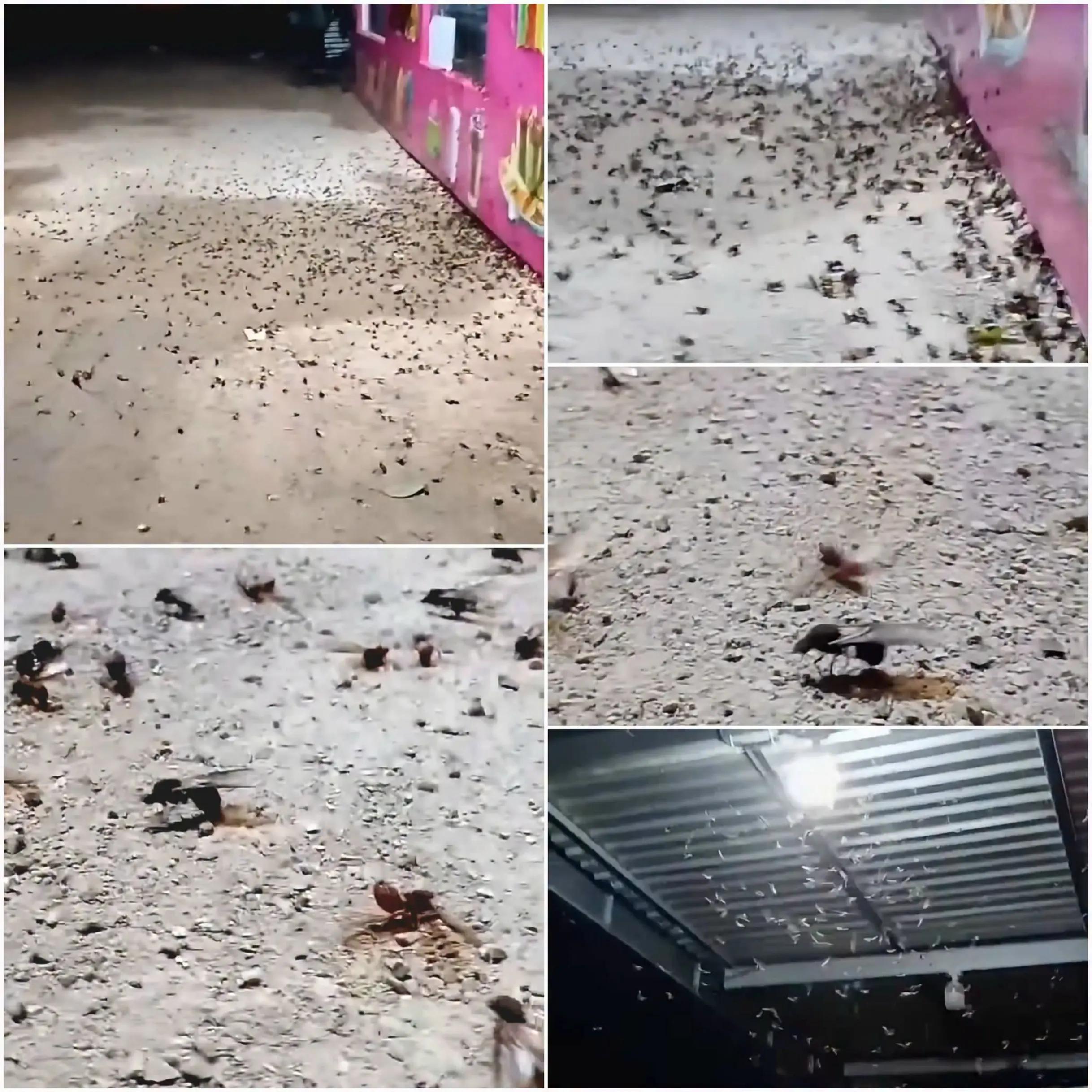 @𝐓𝐄𝐂𝐔𝐀𝐂𝐎 𝐍𝐎𝐓𝐈𝐂𝐈ᝯS&reg;