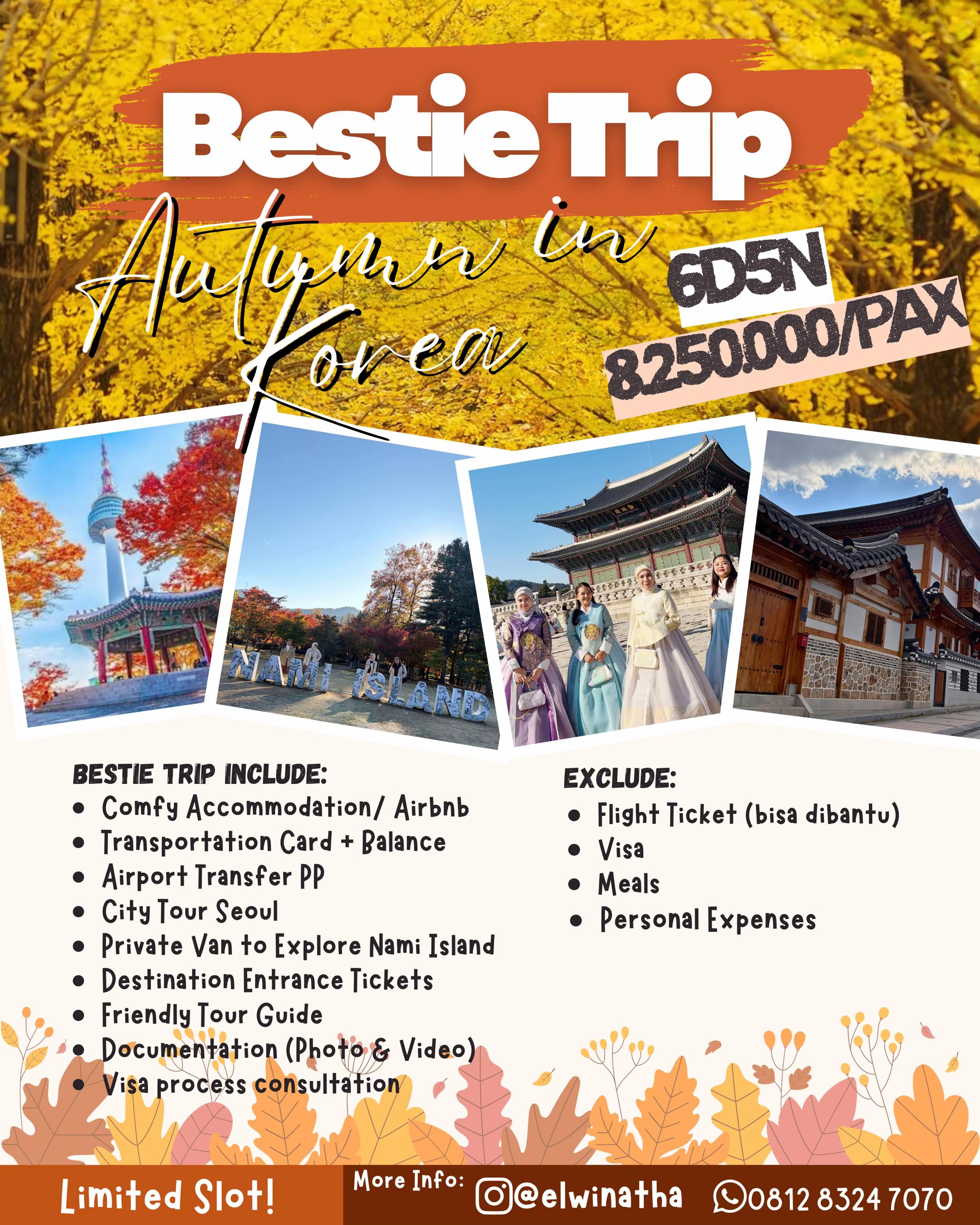 @Elwina | Open Trip Korea