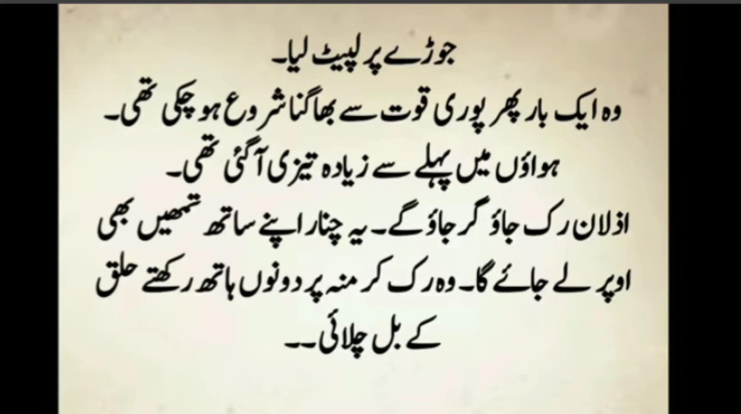 @Zoya novel zadi