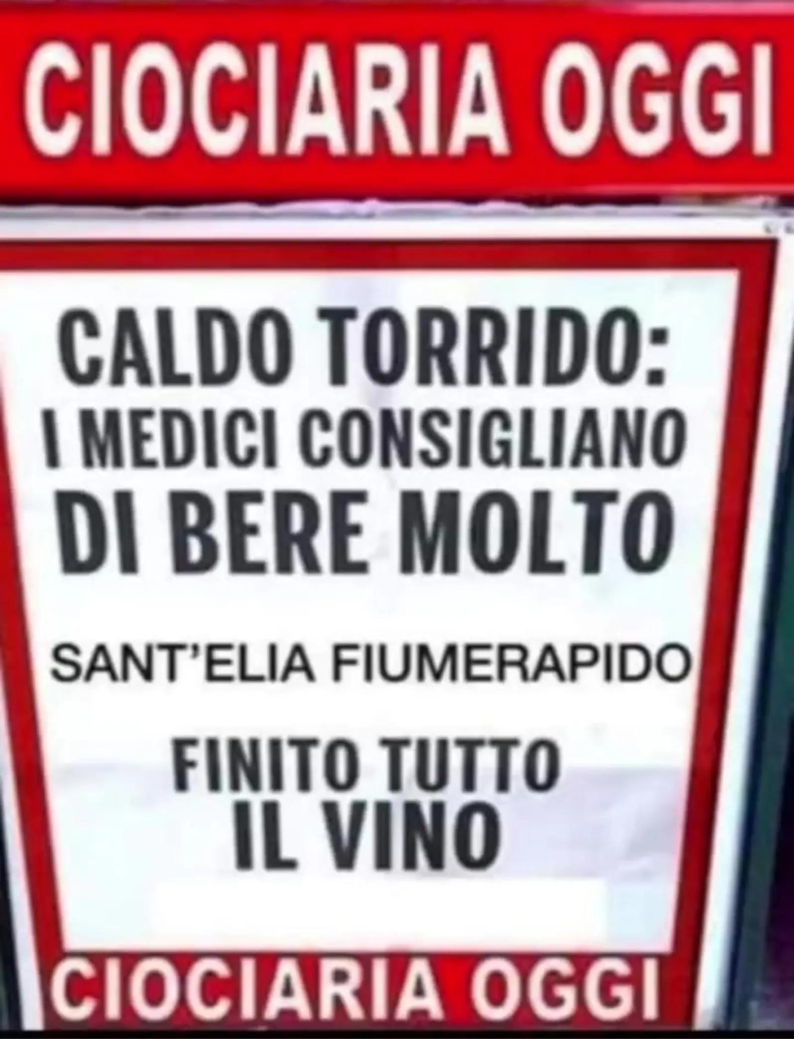 @Anna Persechini64
