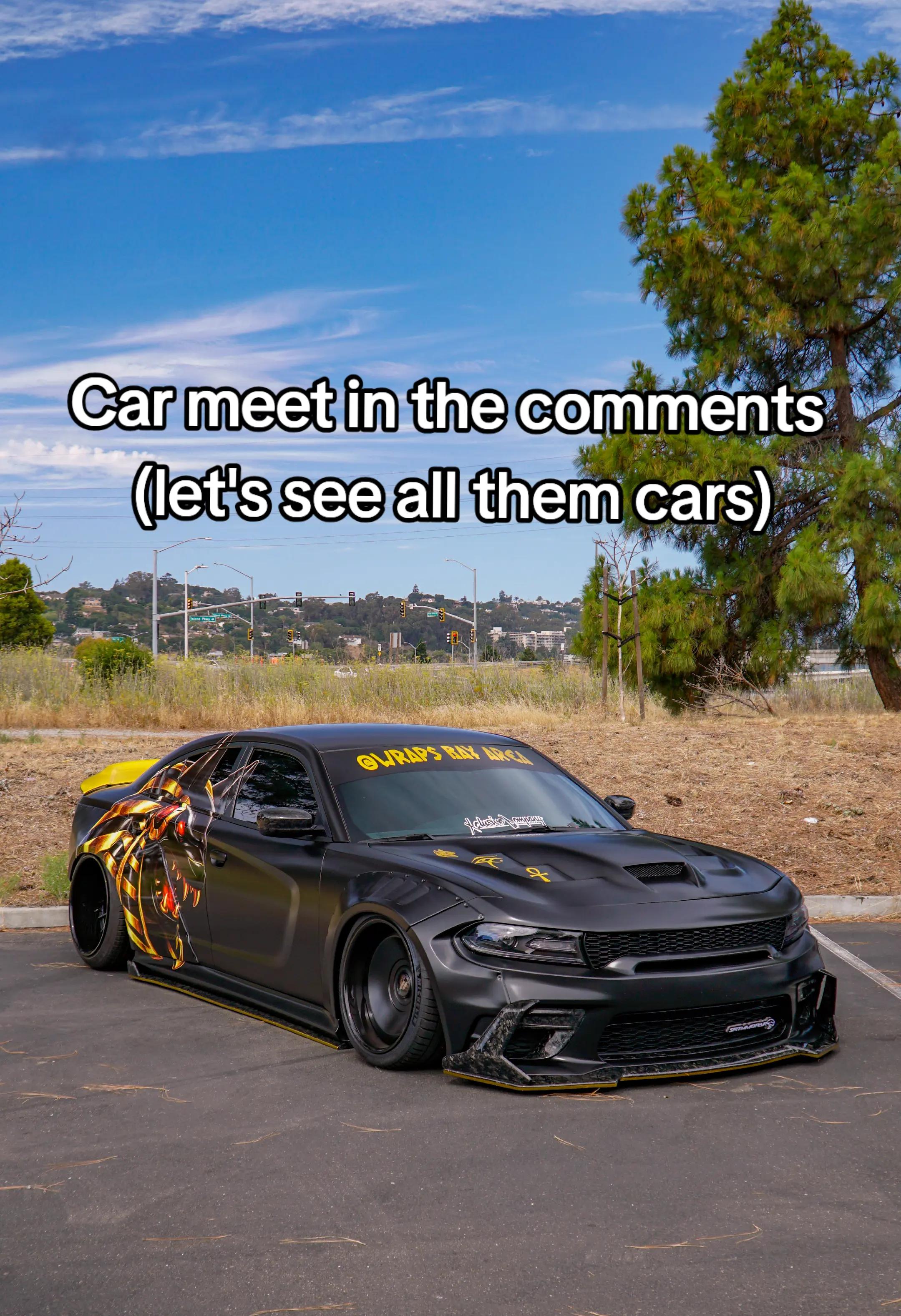 @srtmmopar