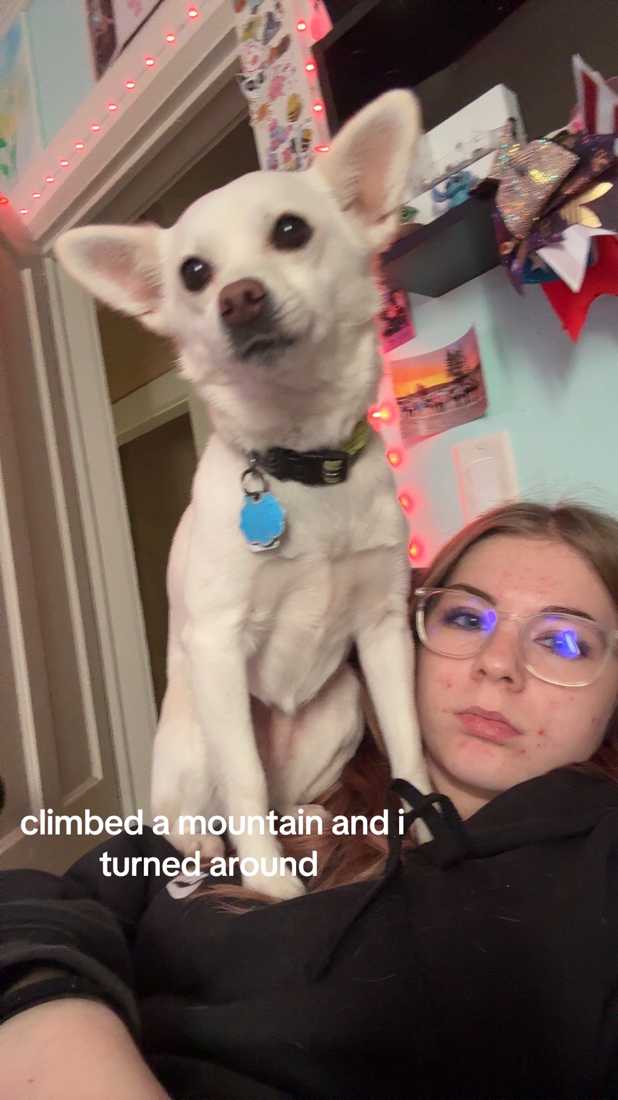 @em🦈