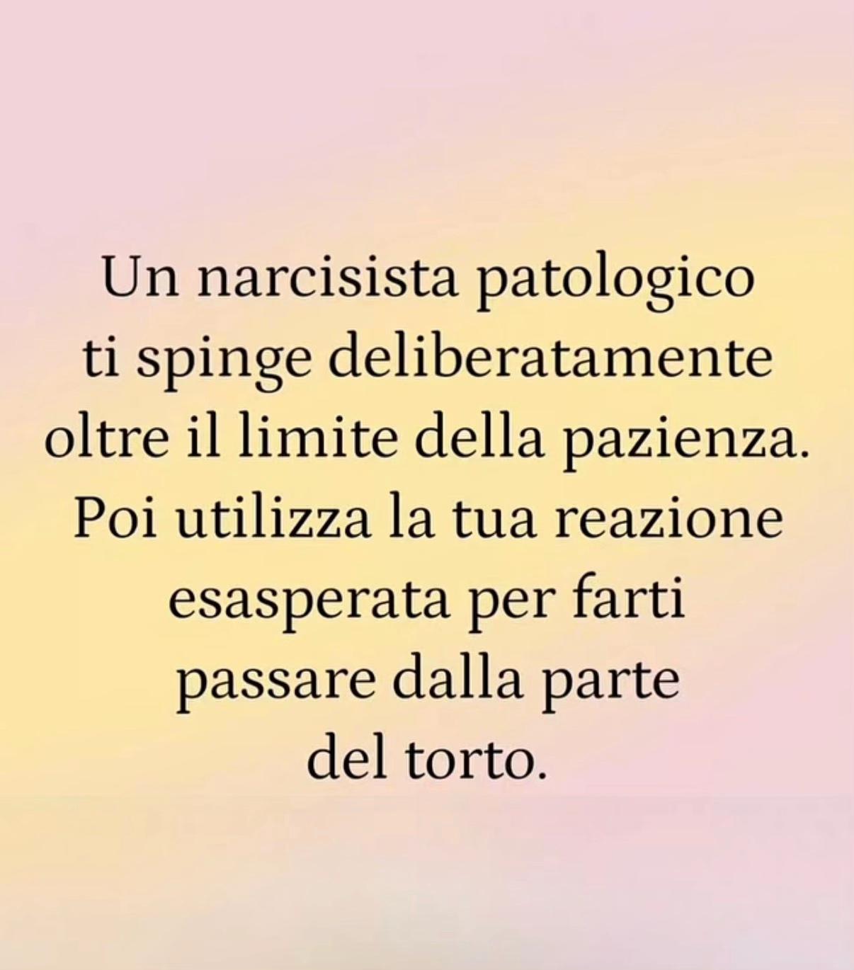 @vincenzopede8