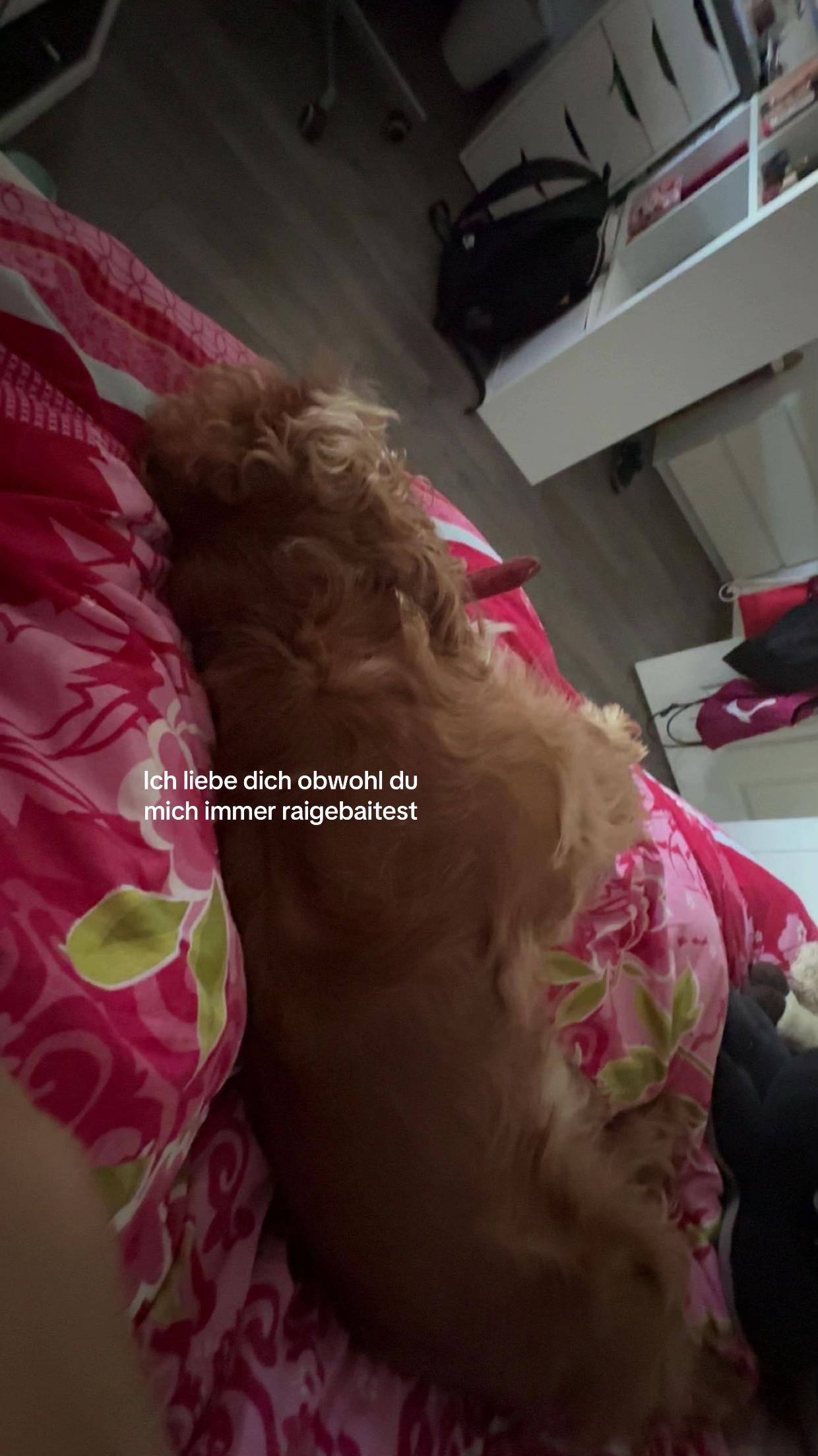@weronika