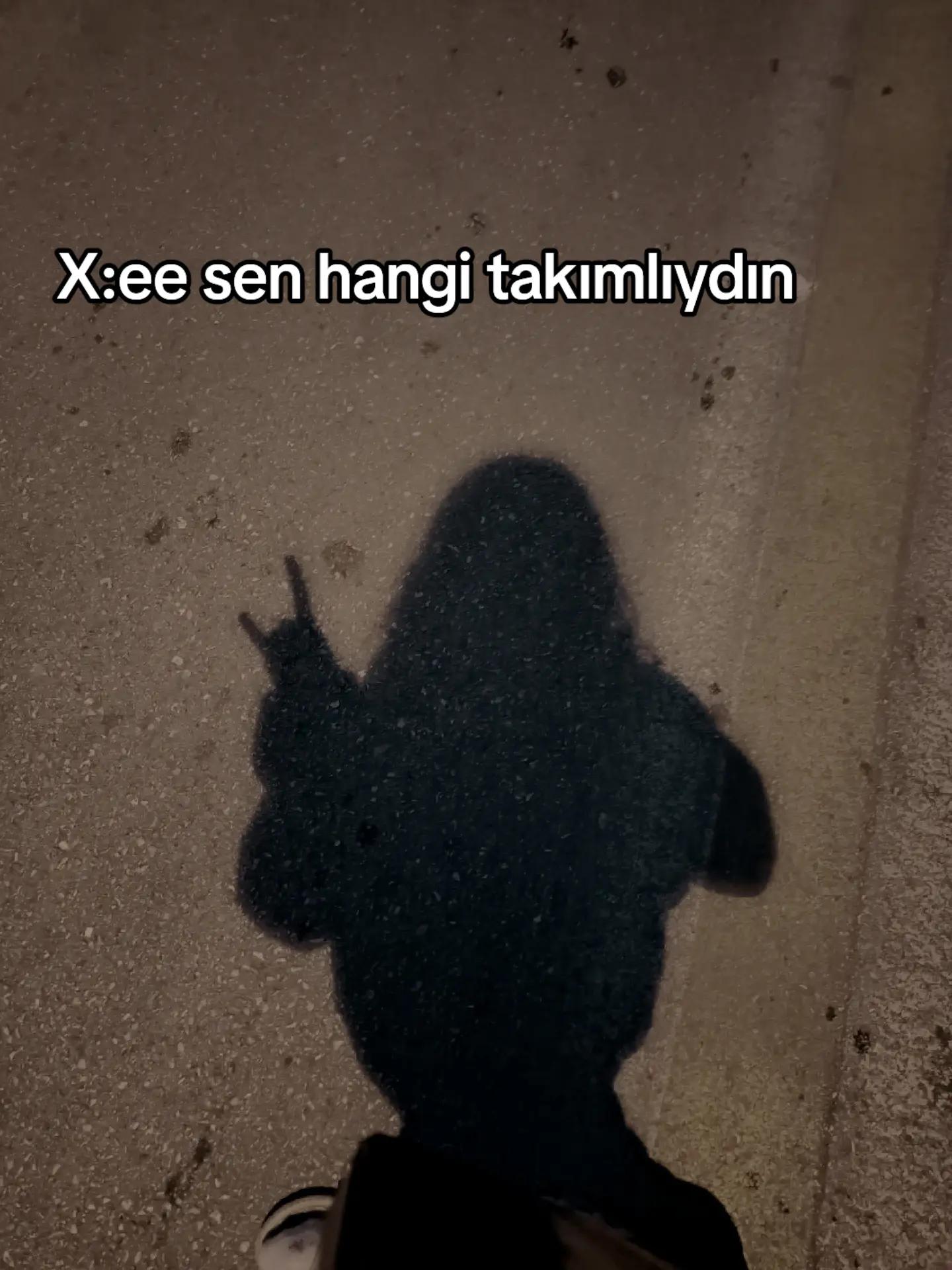 @ayswnr