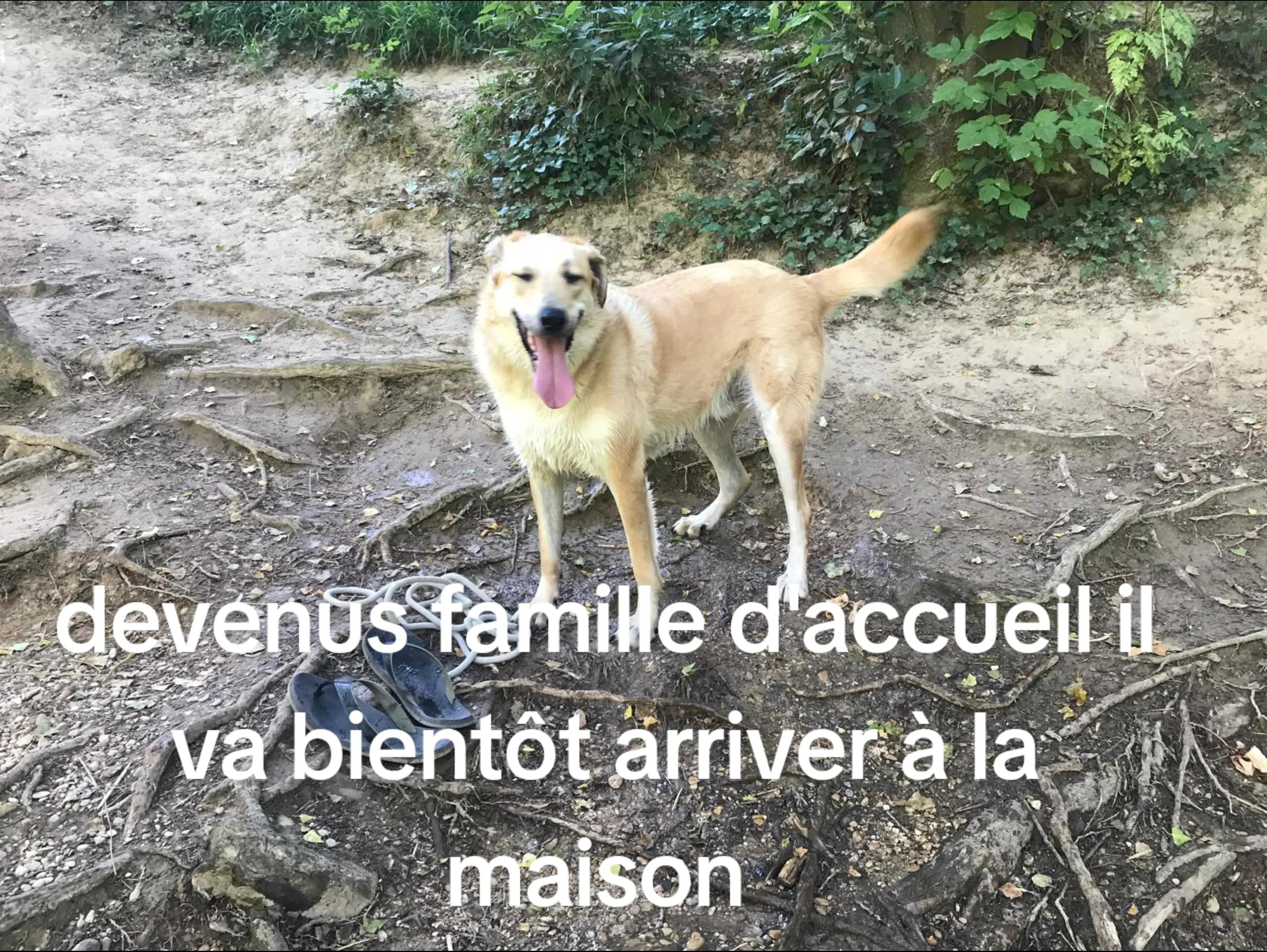 @Antoine frau
