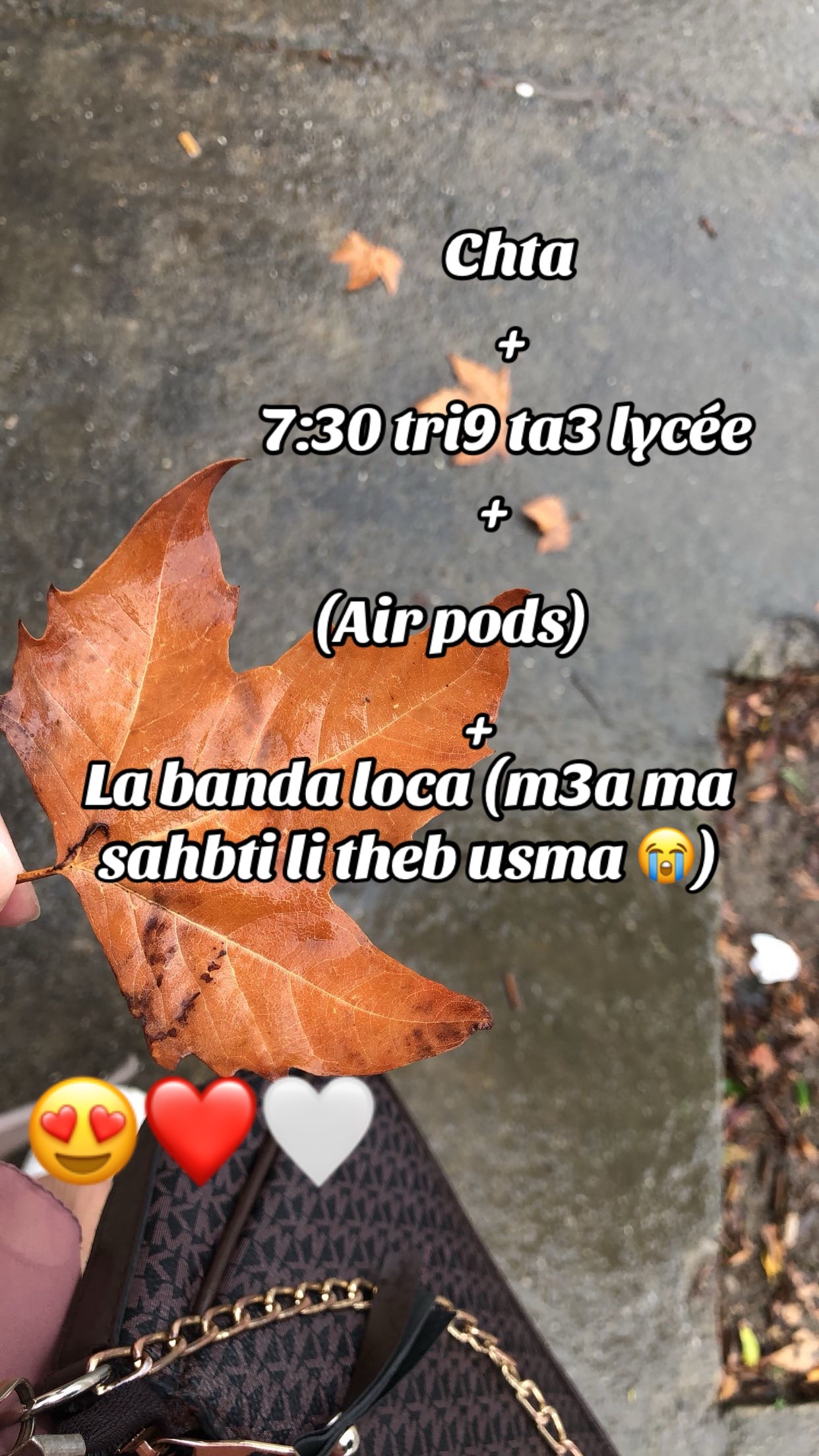 @Anfel🪩