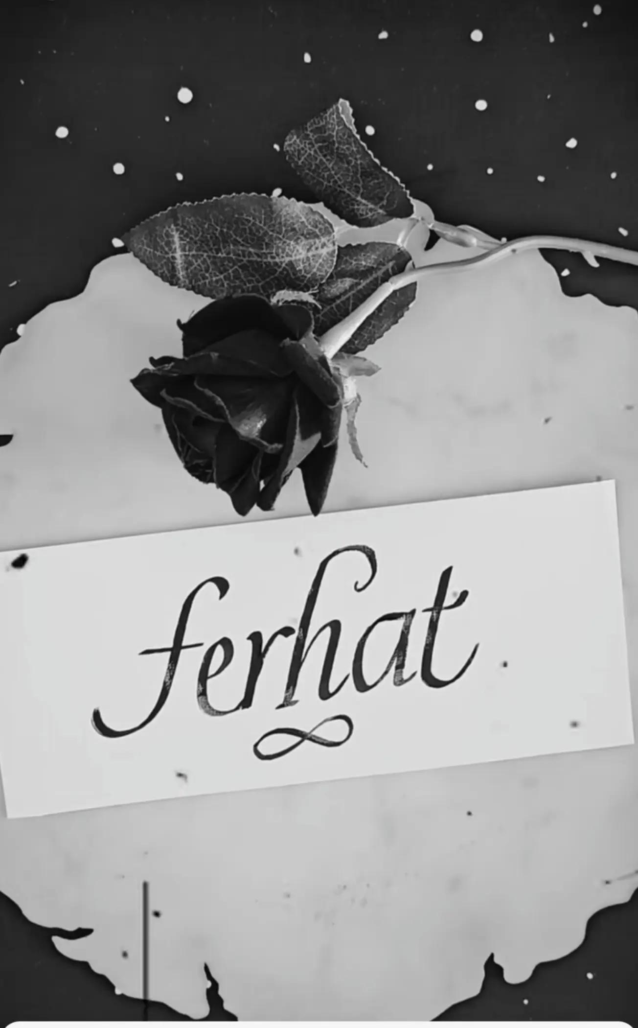 @Ferhat gökdemir