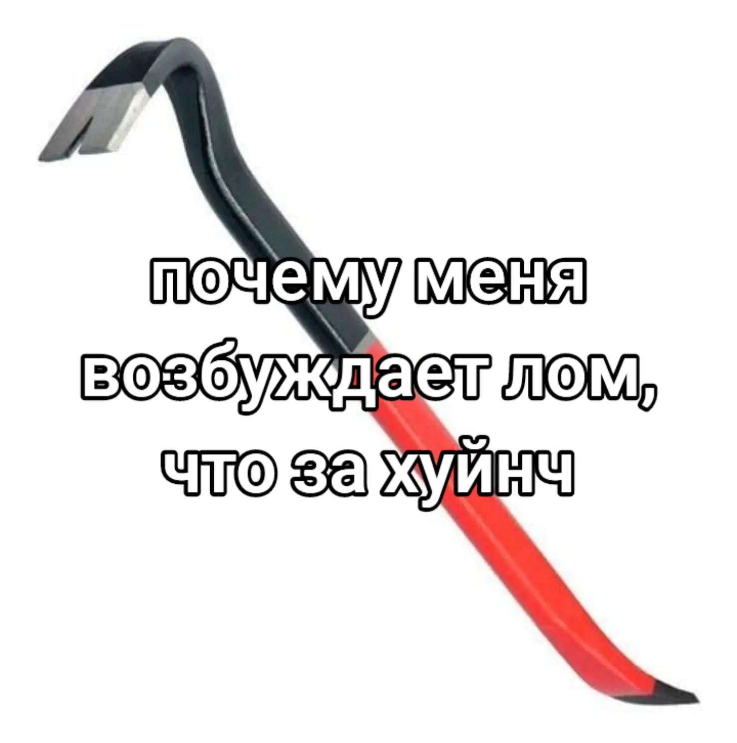 @Пися слона 🥶