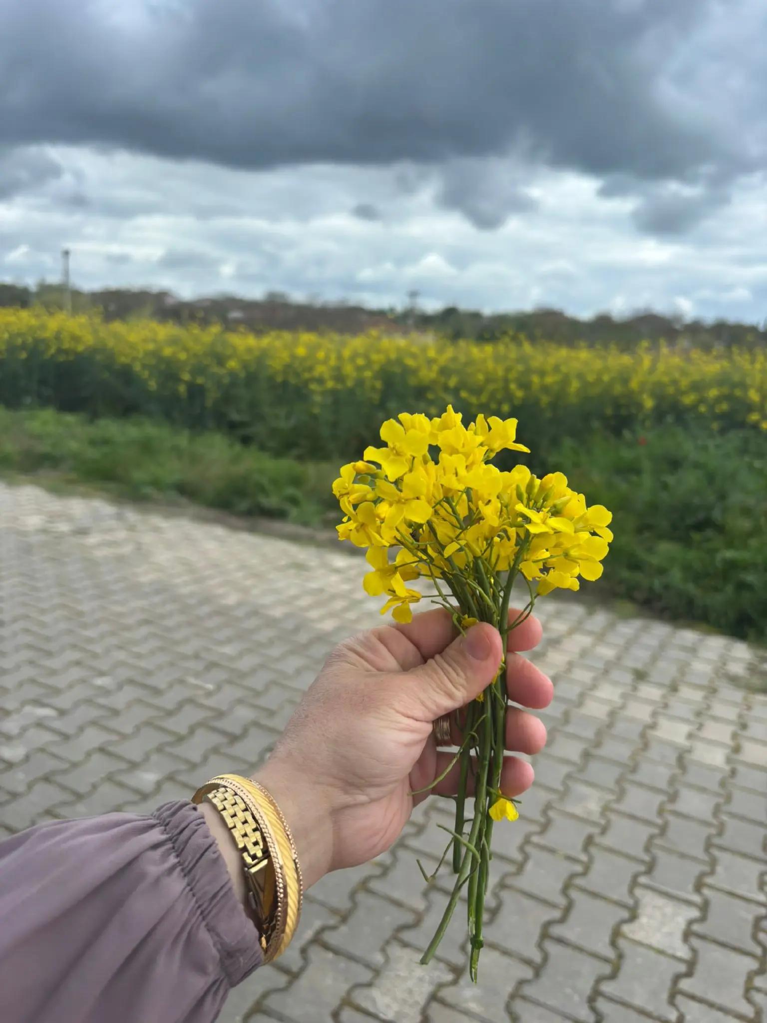 @Emek D&uuml;nyam