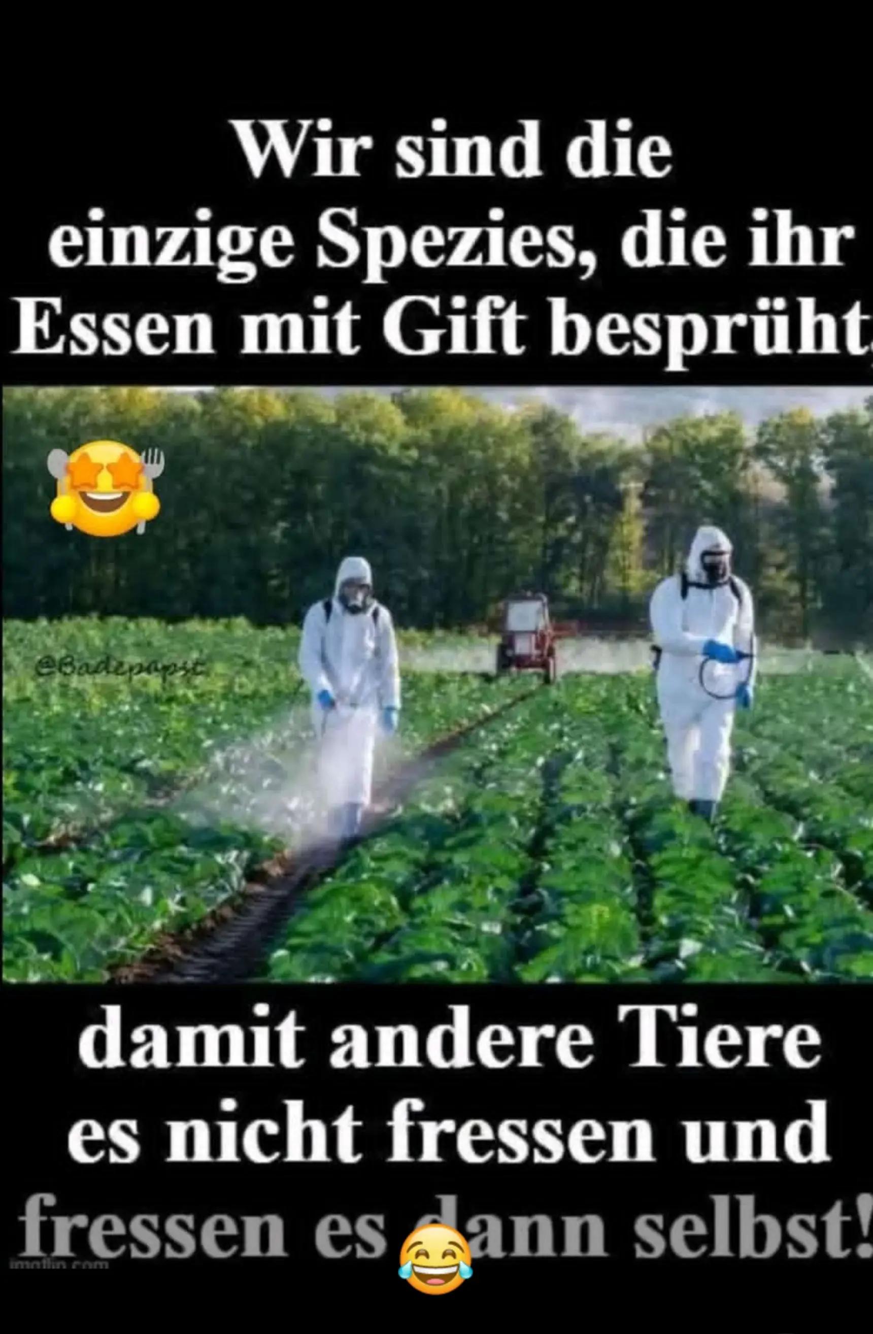 @Ruhepohl 🙏🏻🤪