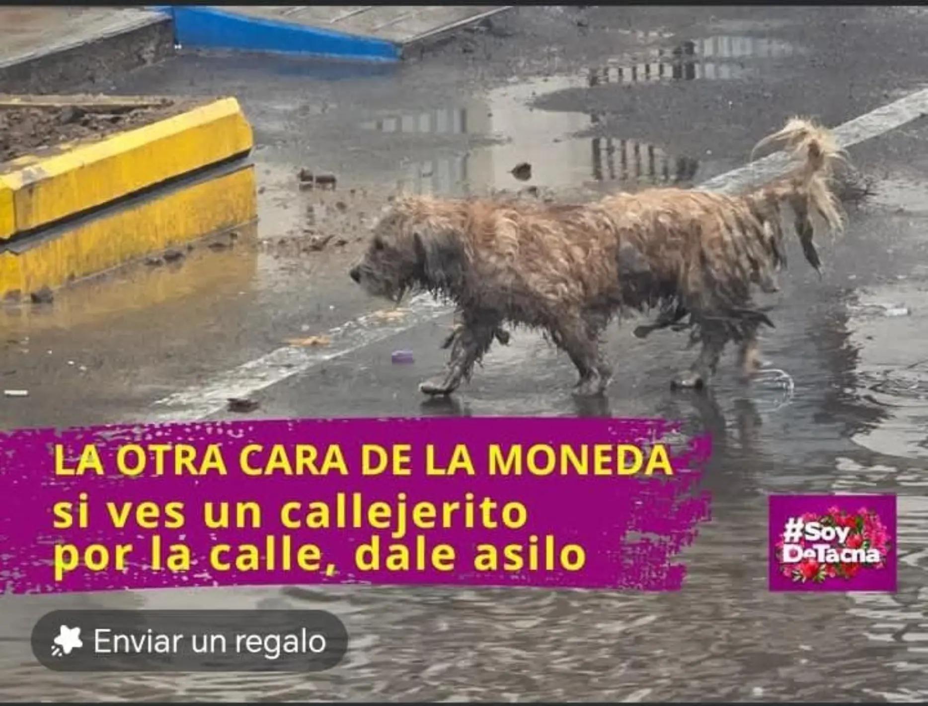 @PÍA TORRES 💕