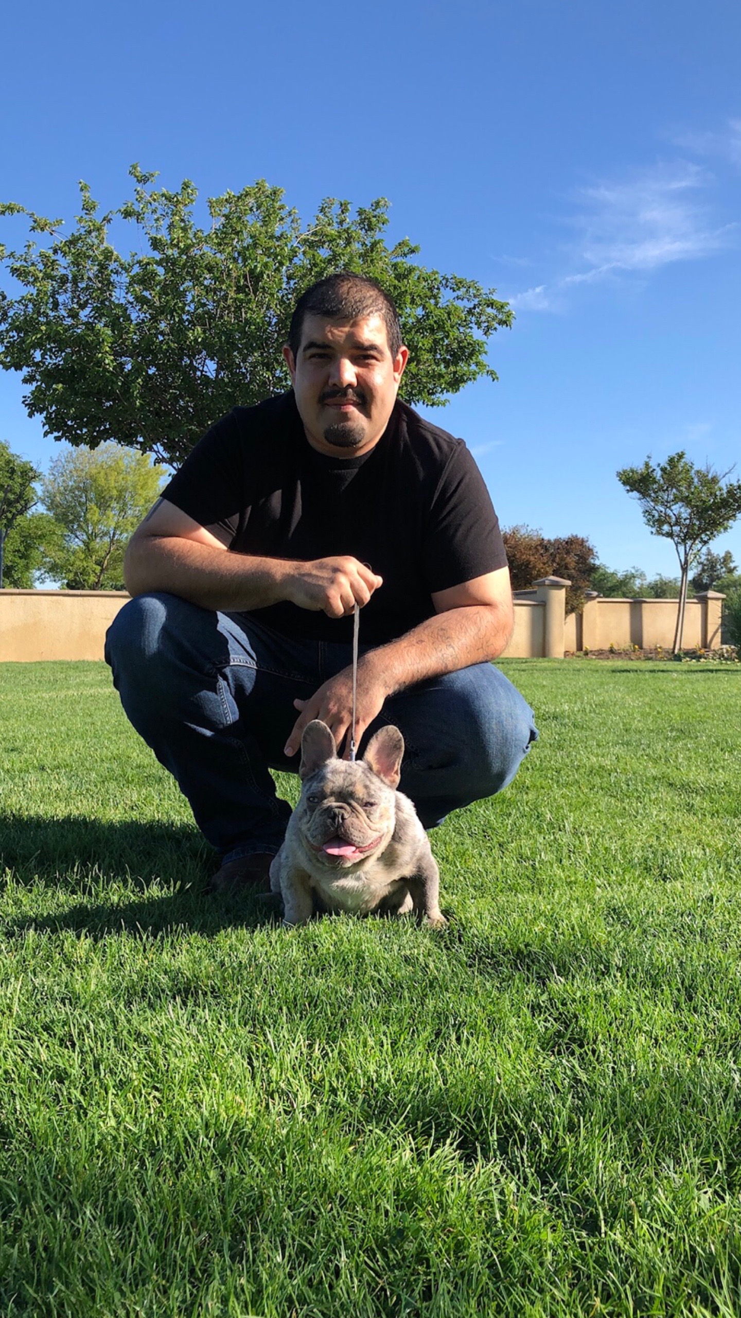 @rb_frenchies559