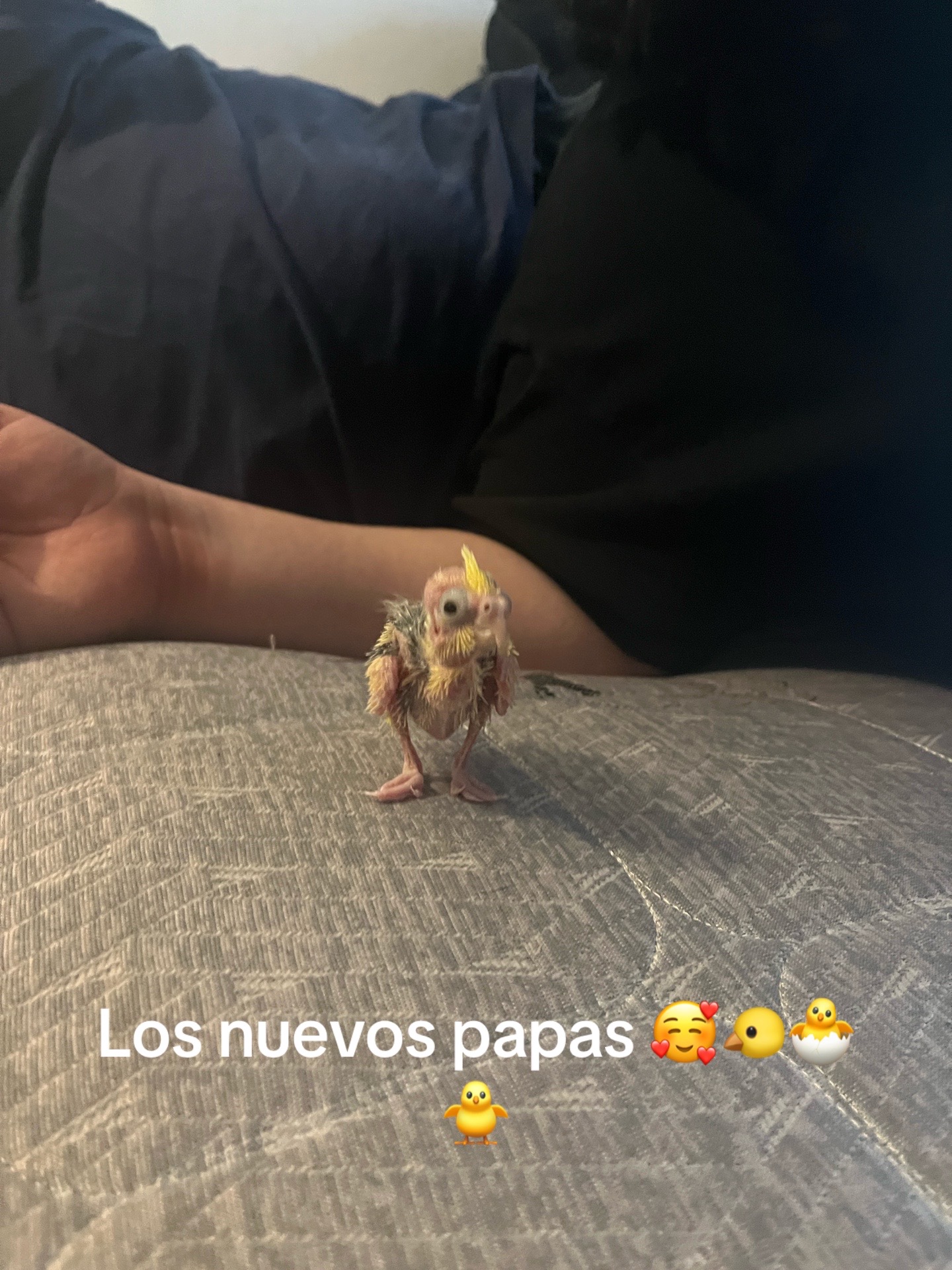 @faby la guera