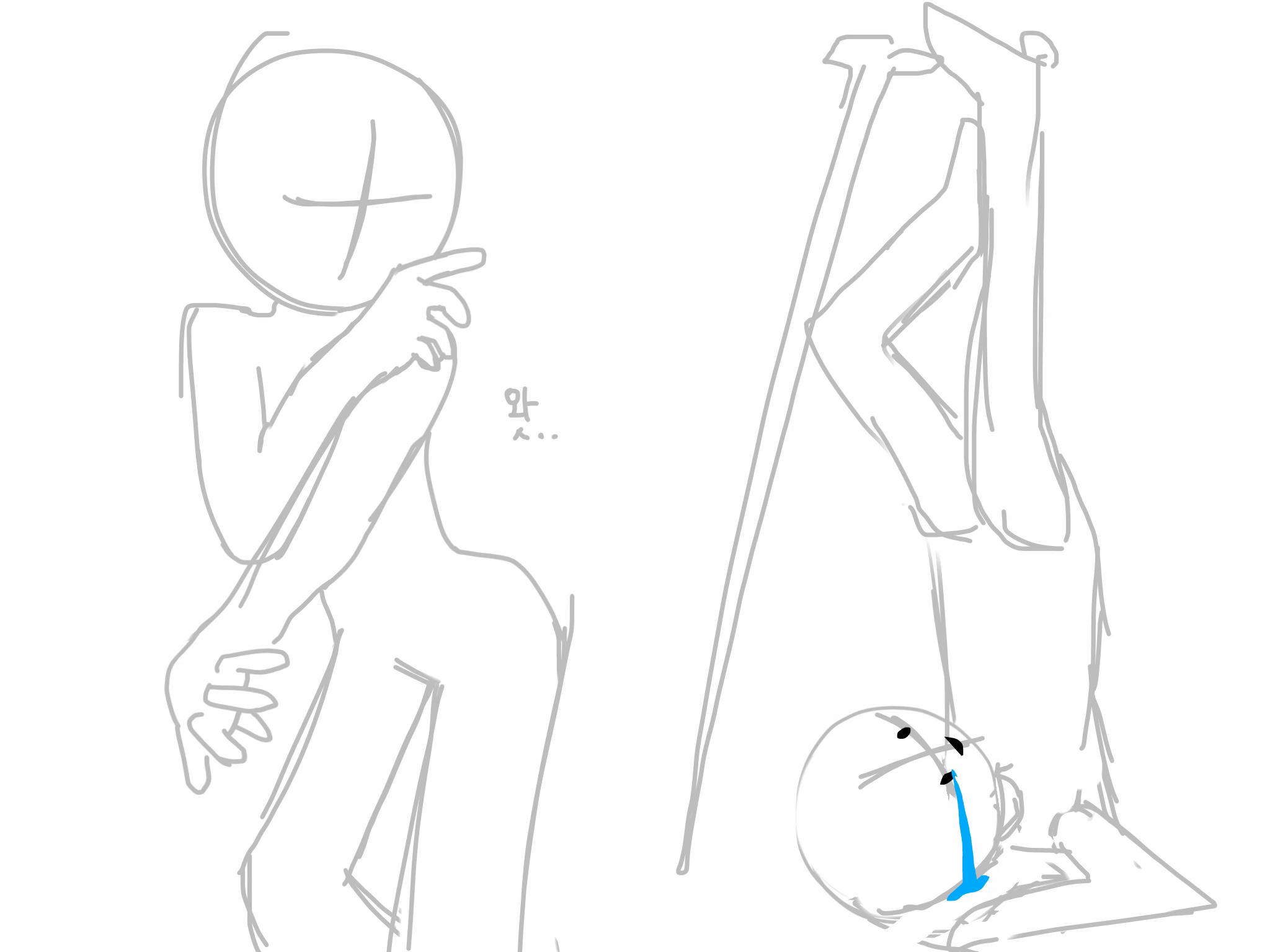 @시공차에 바퀴벌레