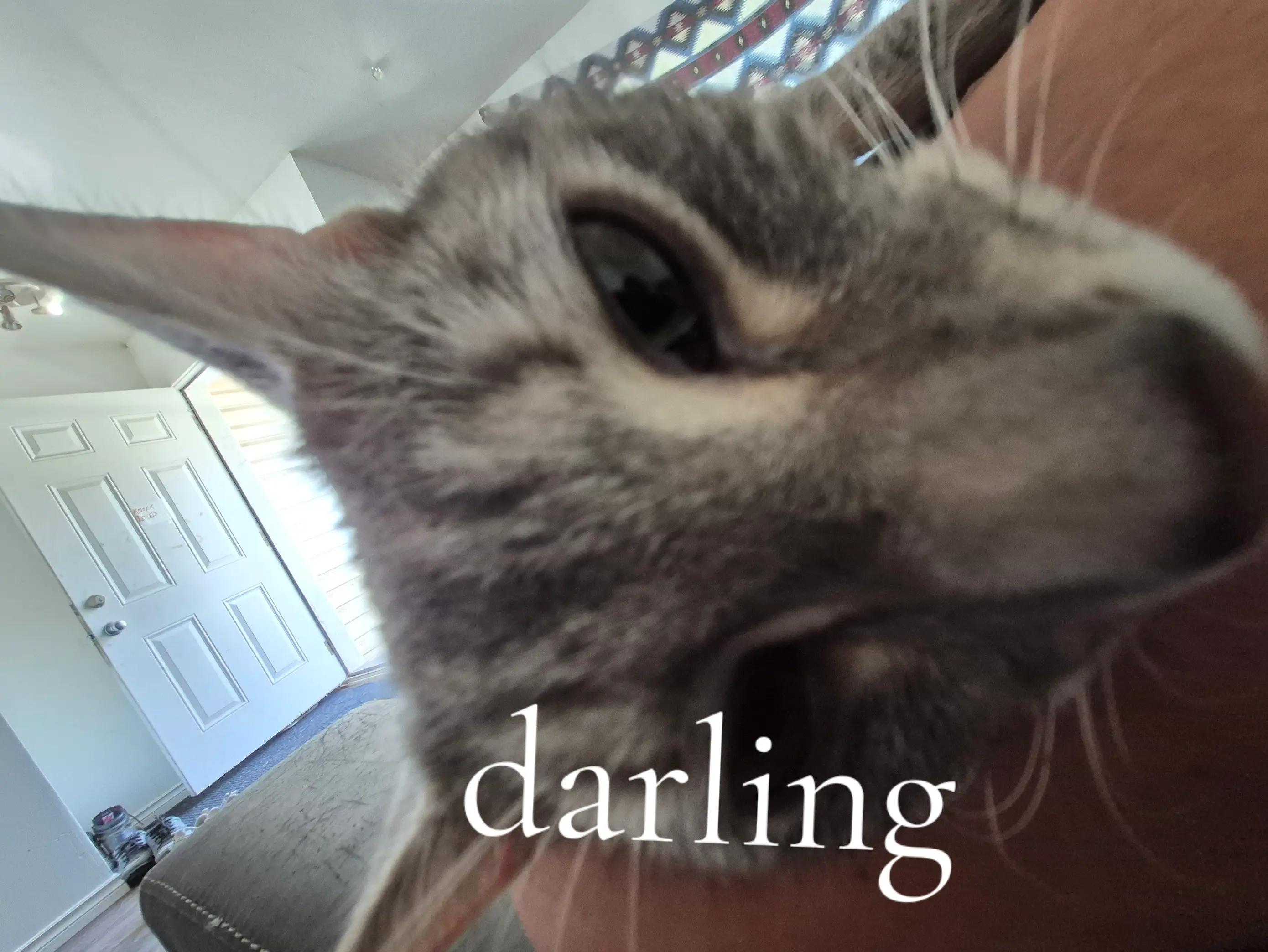 @♡kat♡