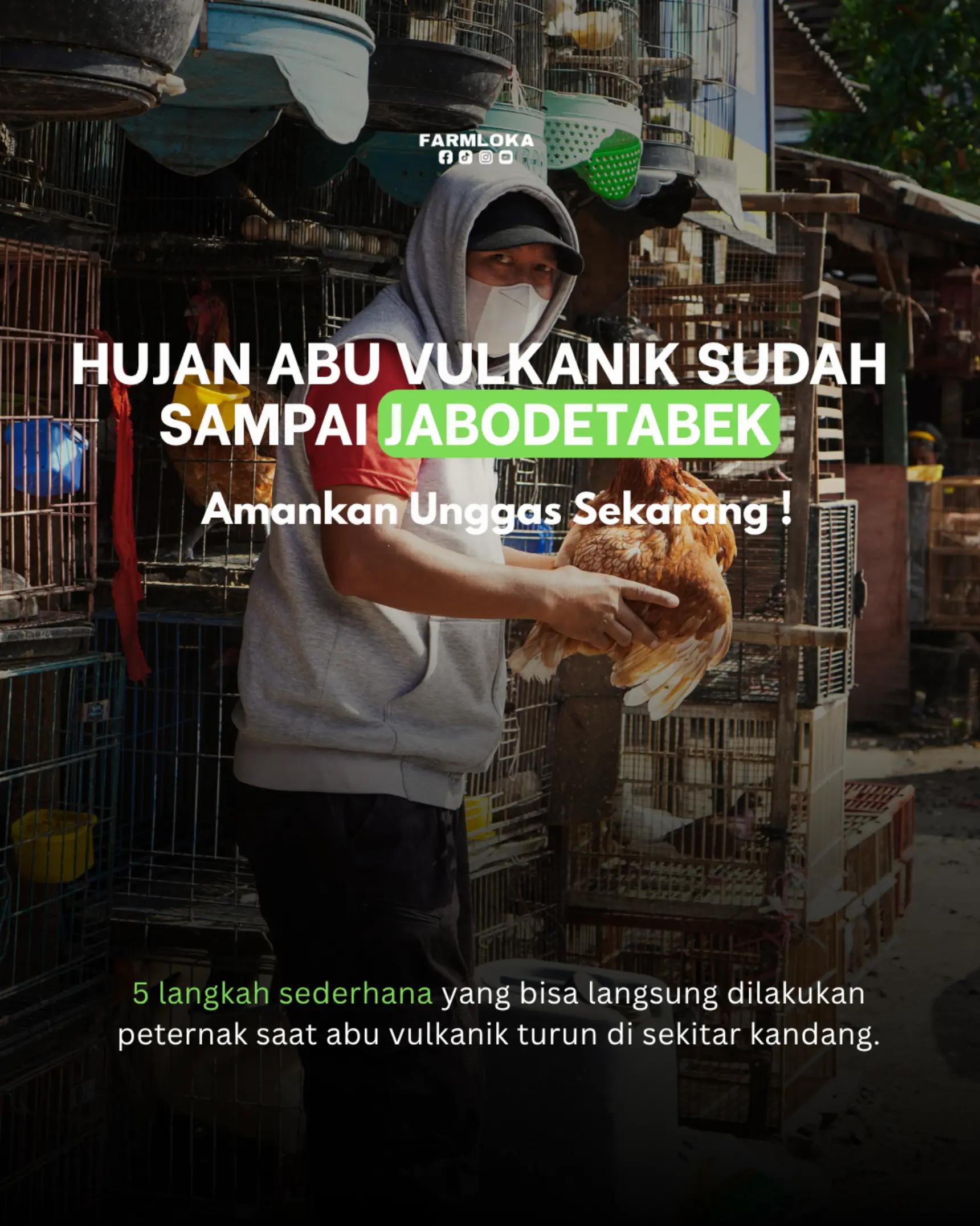 @Farmloka