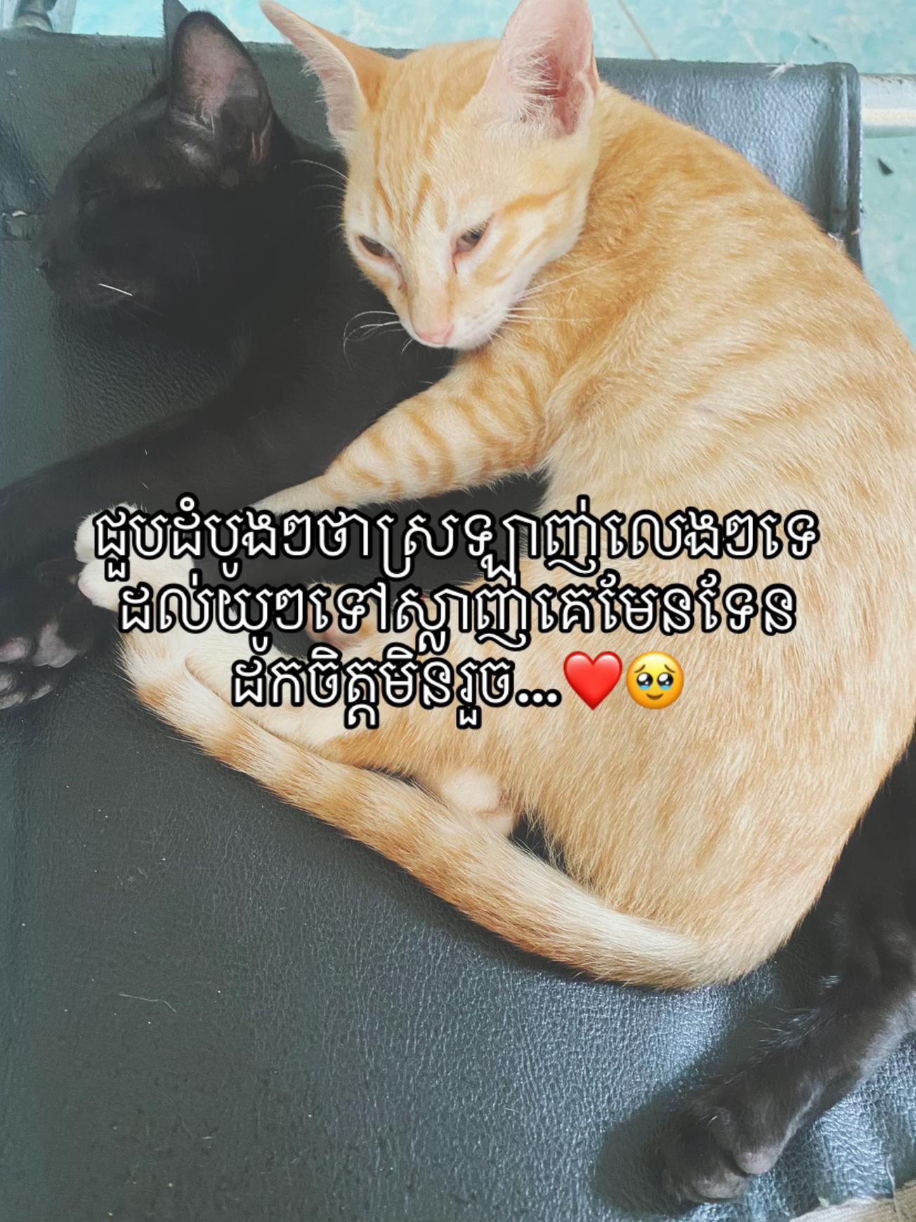 @Vy❣️