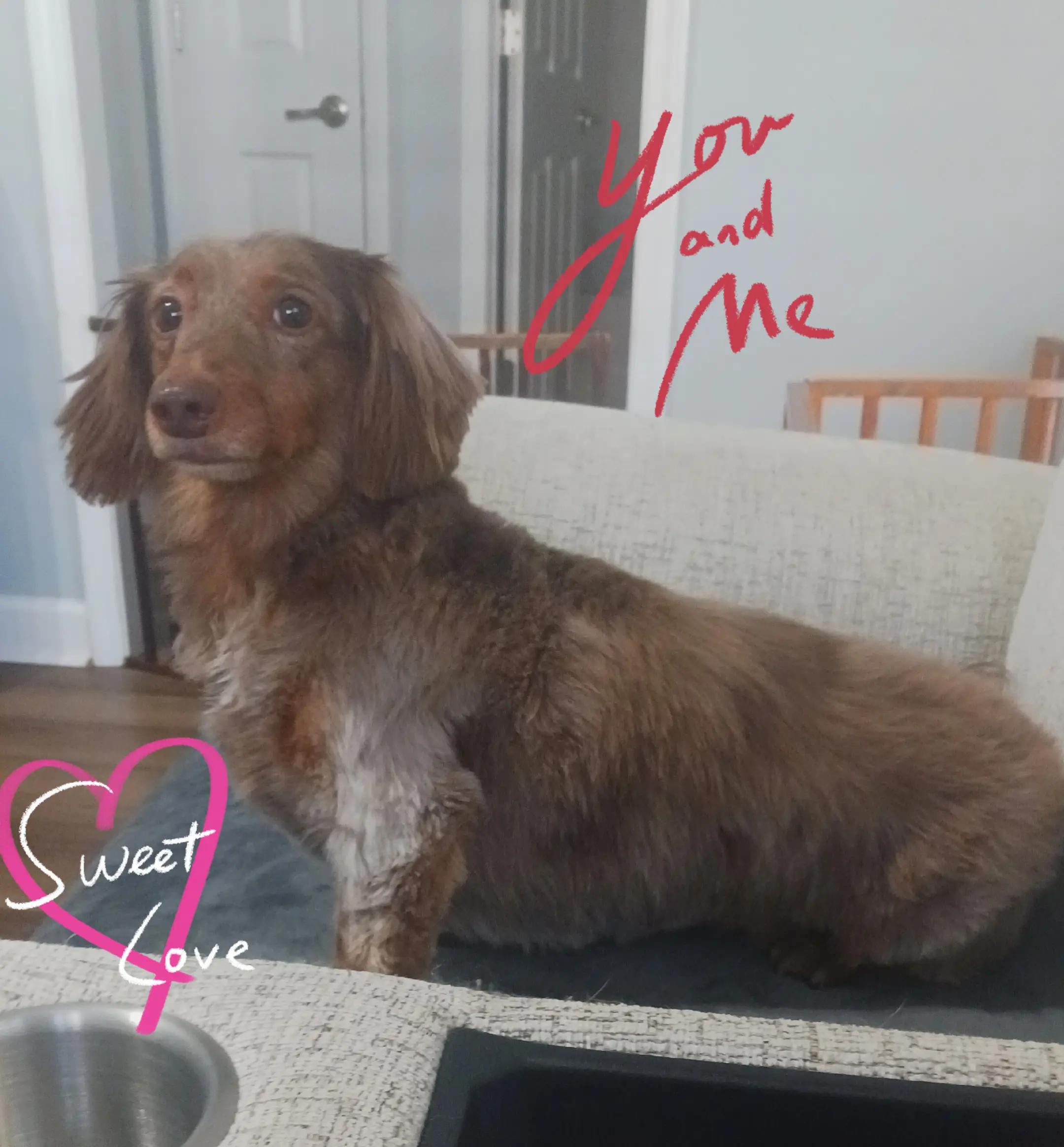 @Aria