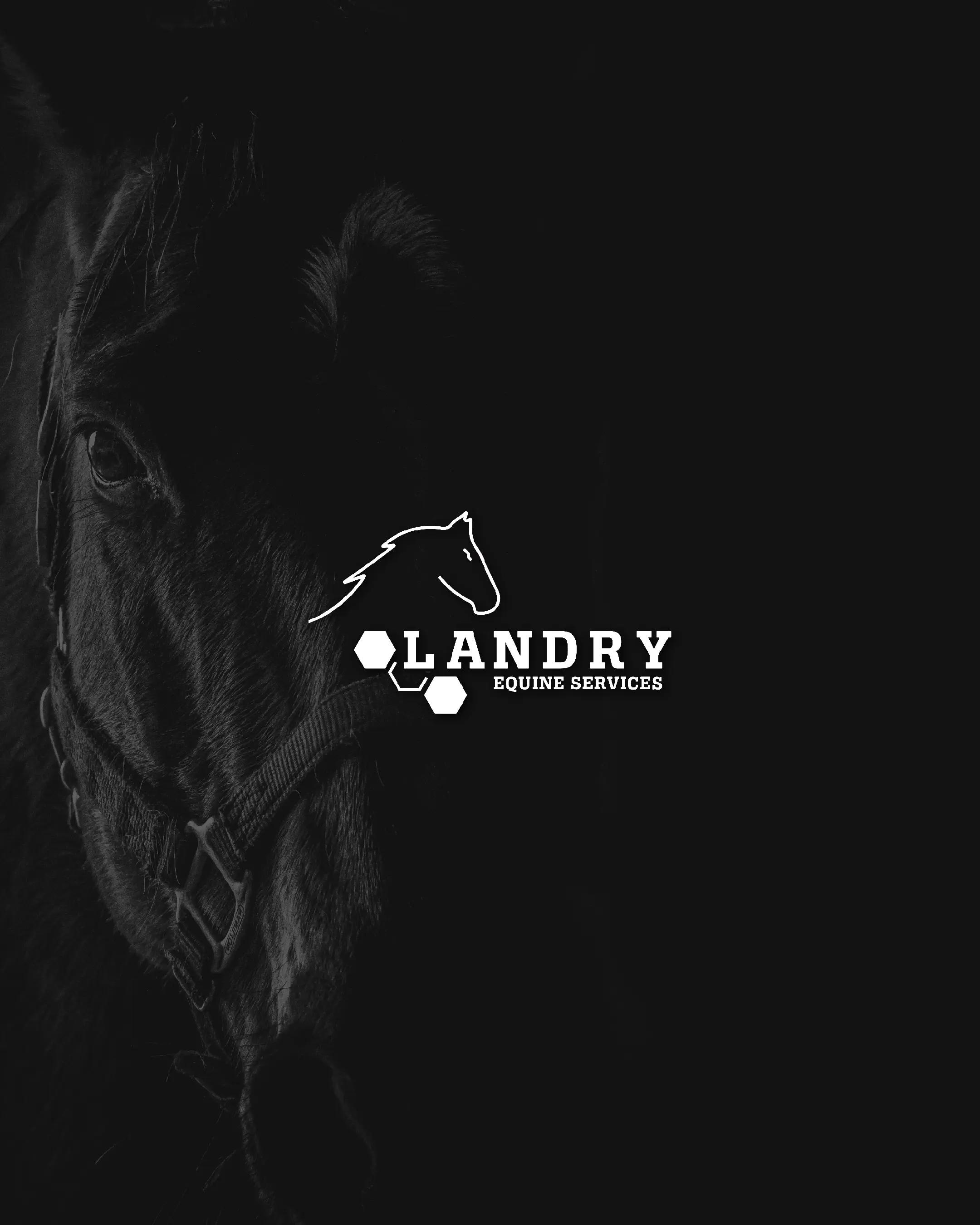 @Clint Connelly | Brand Design