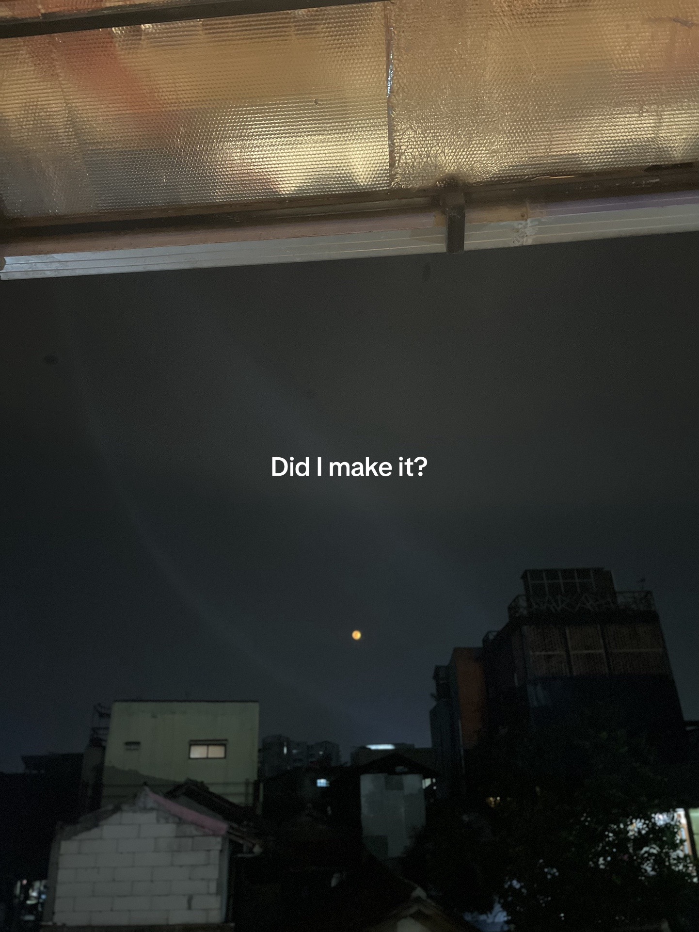 @(/=◡=)/\(>◡<\)