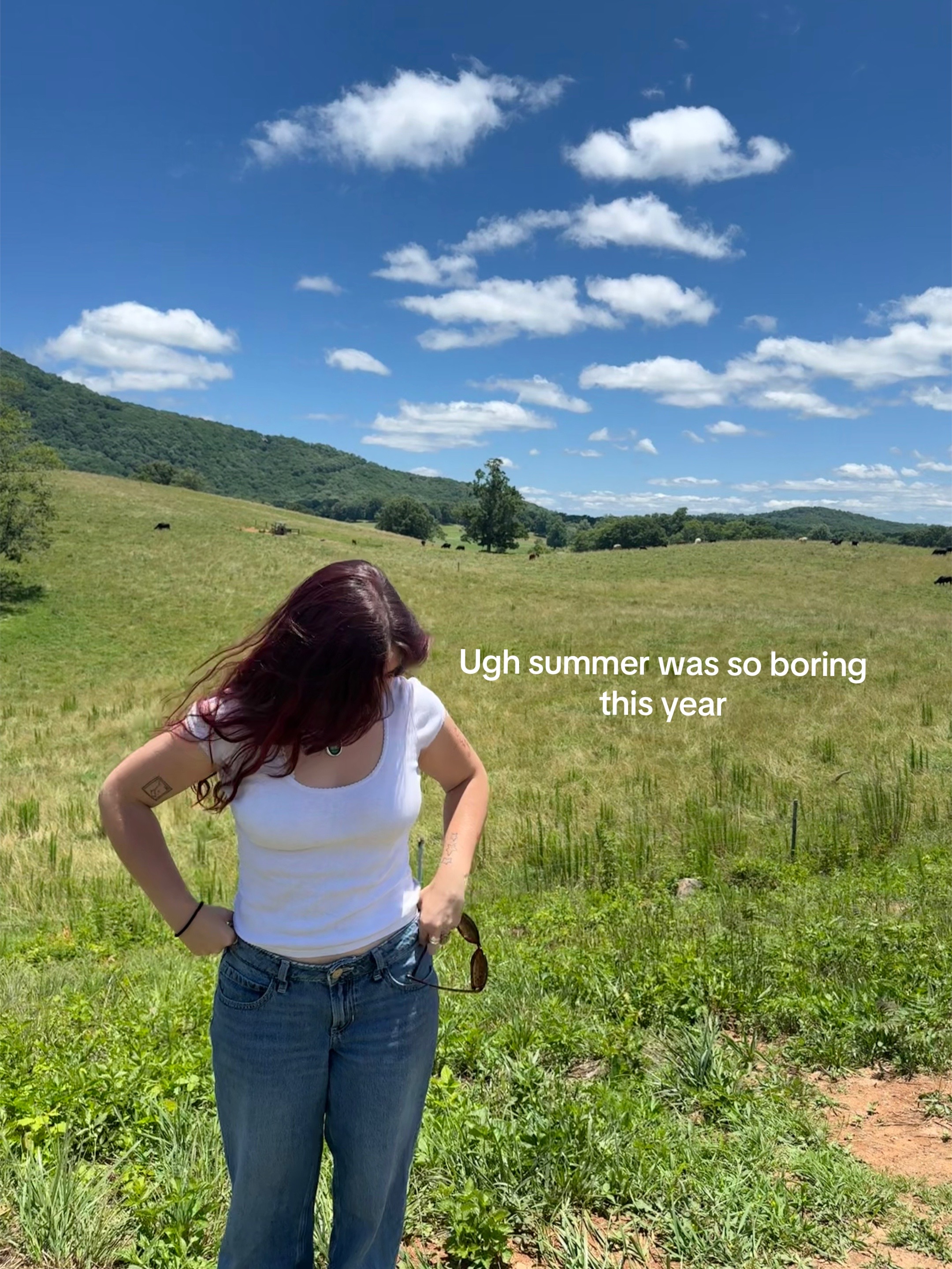 @carlieboxd