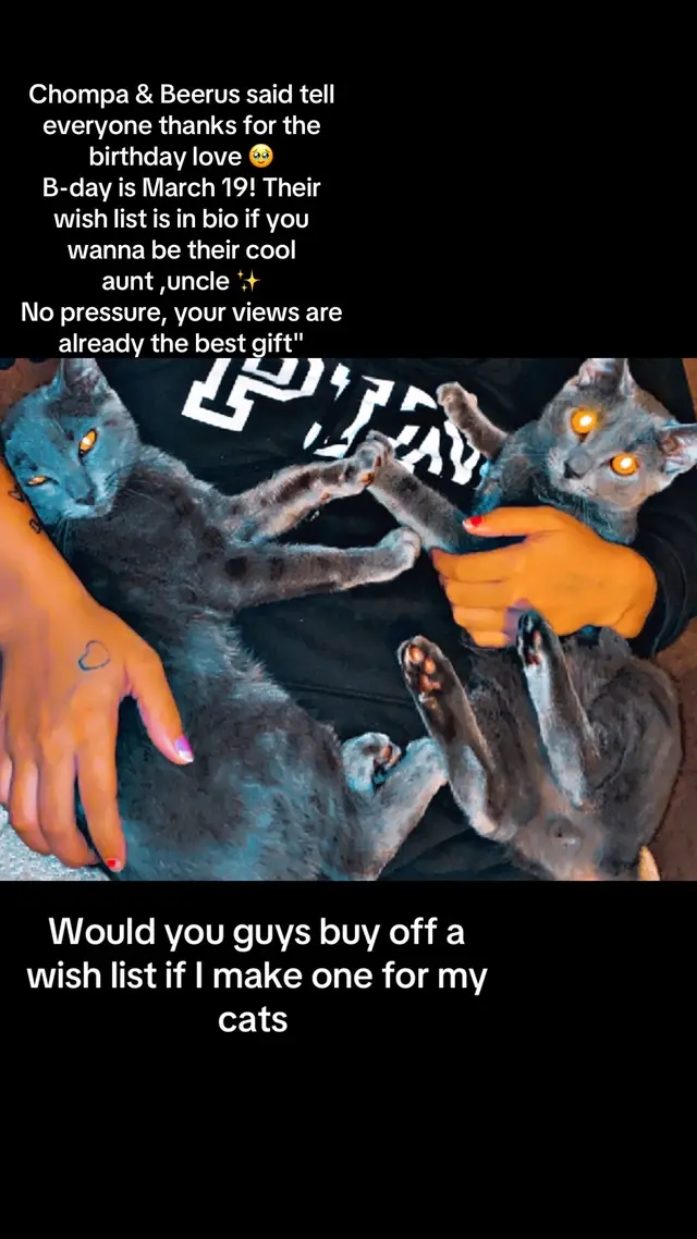 @catmomjailee123