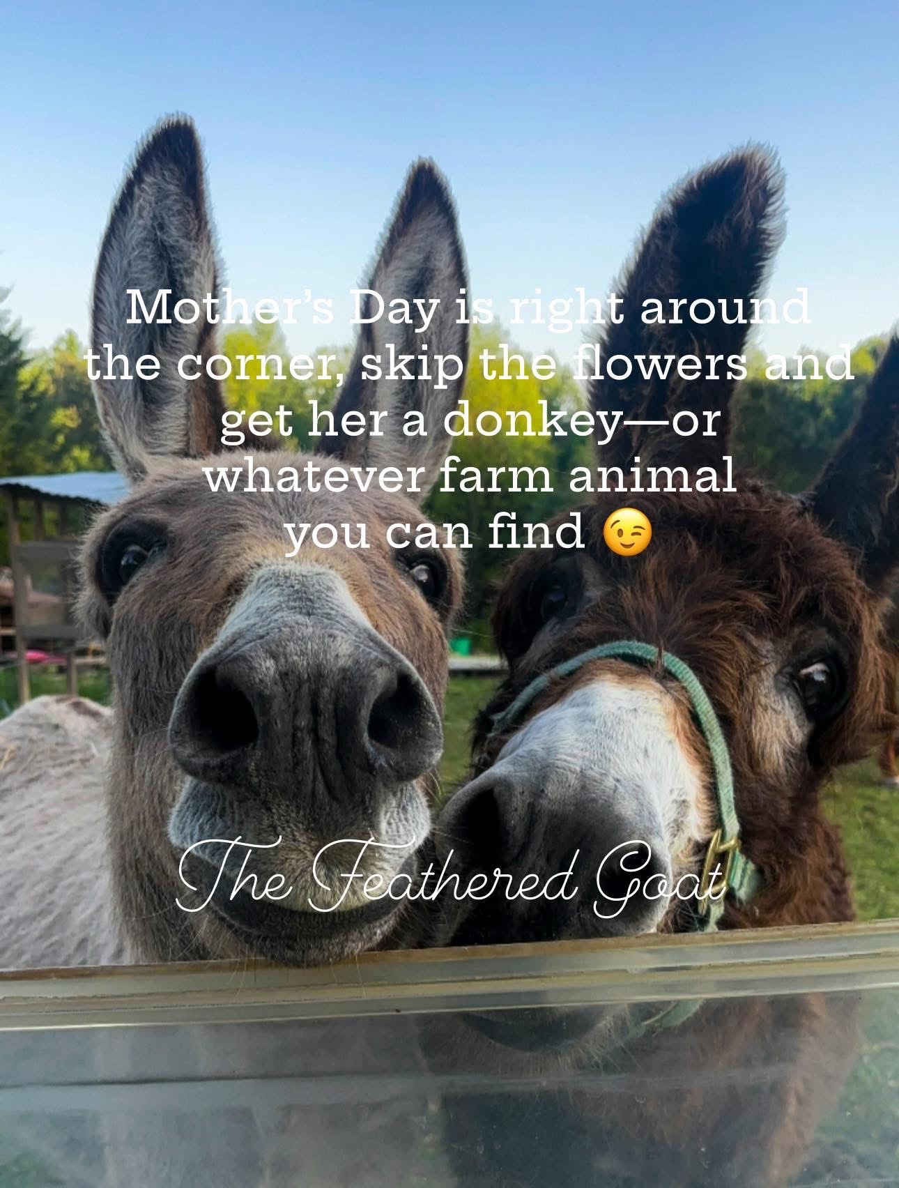 @Erin - The Feathered Goat