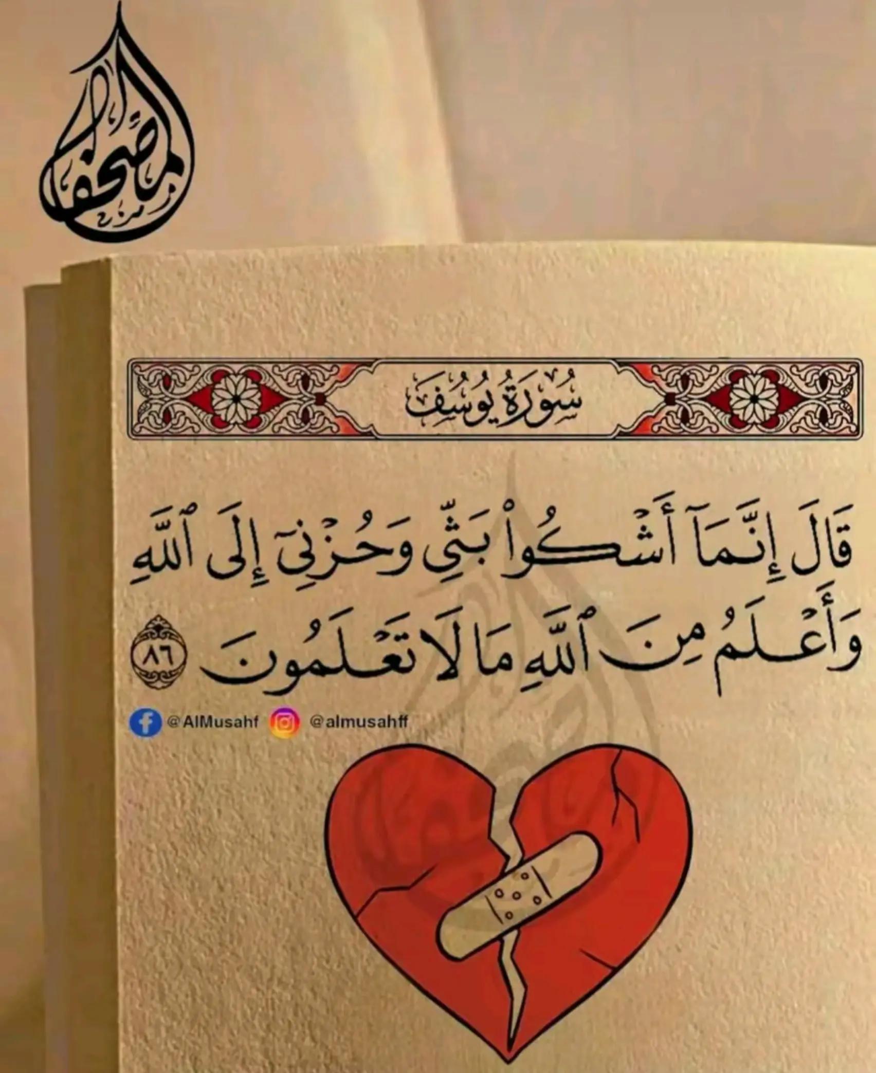 @حاجه تشرفك ان Hamoيعرفك😉