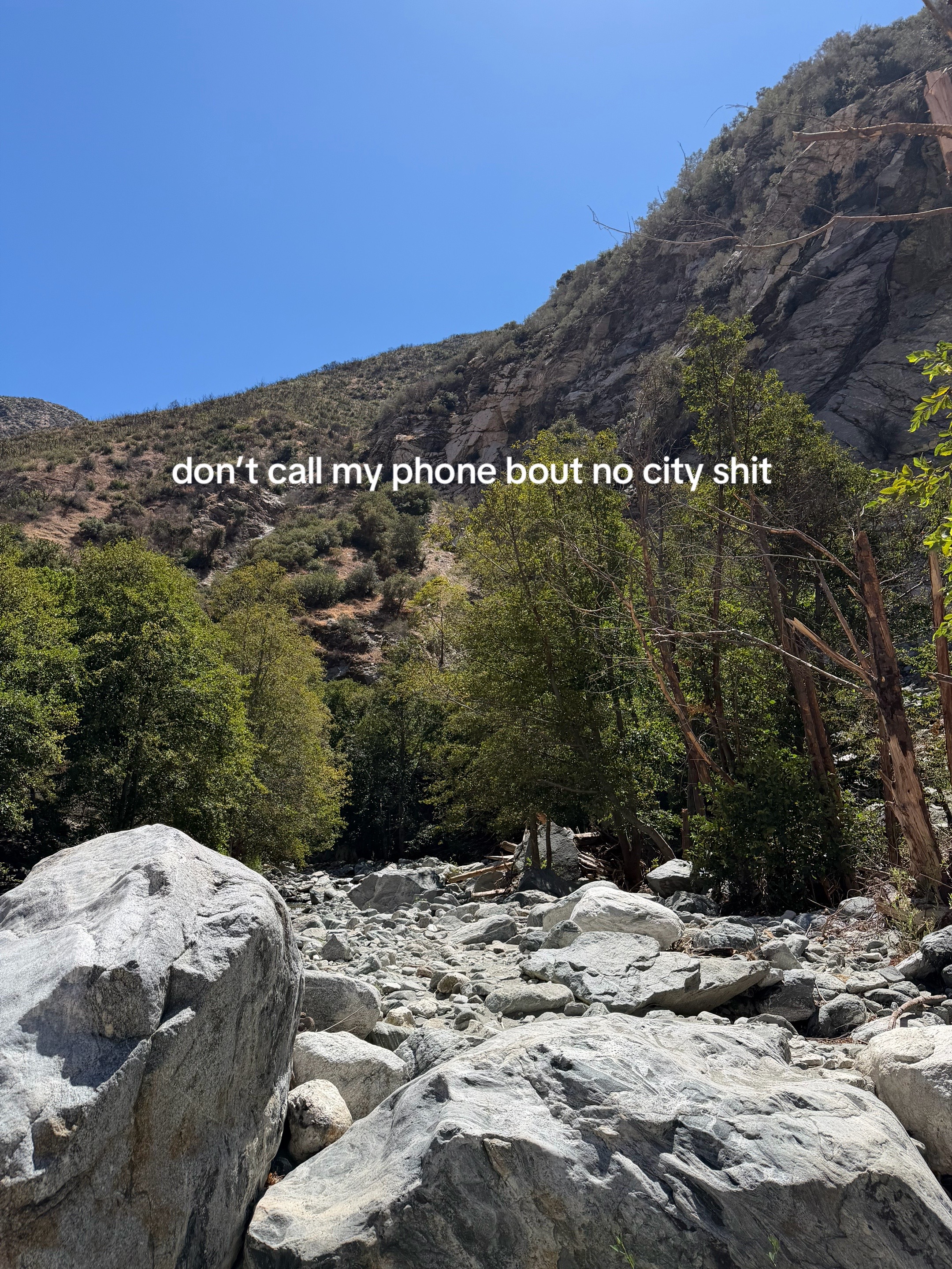 @iz
