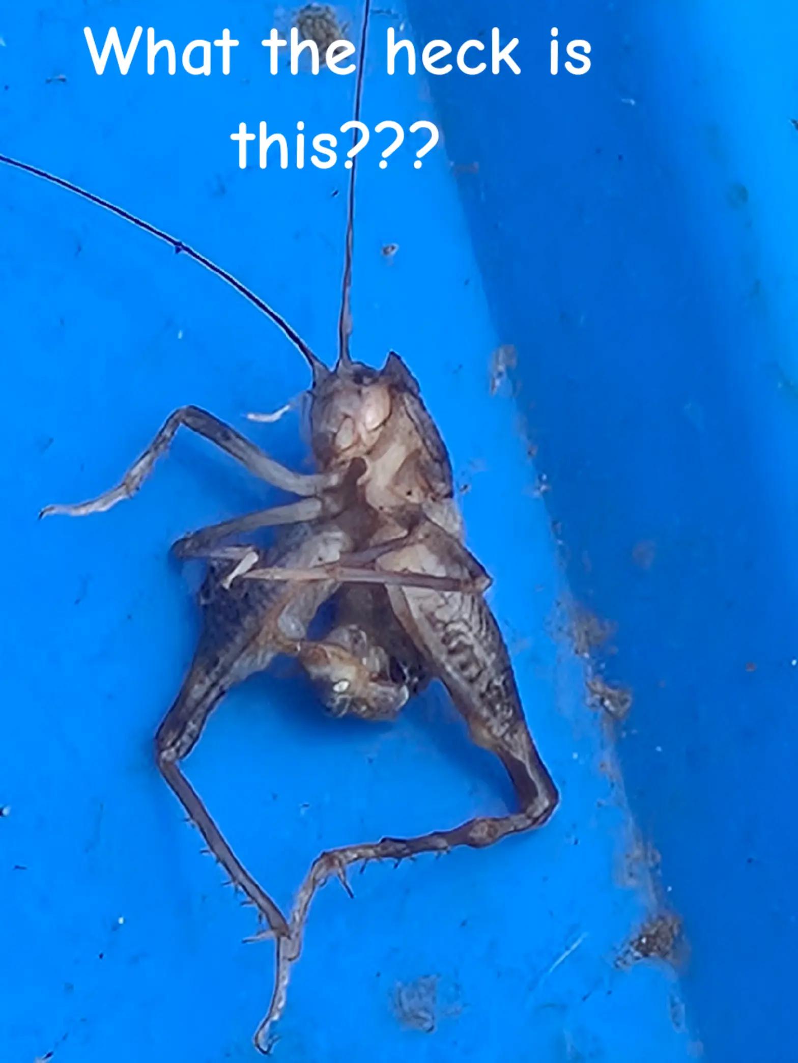 @Bamagurltm675