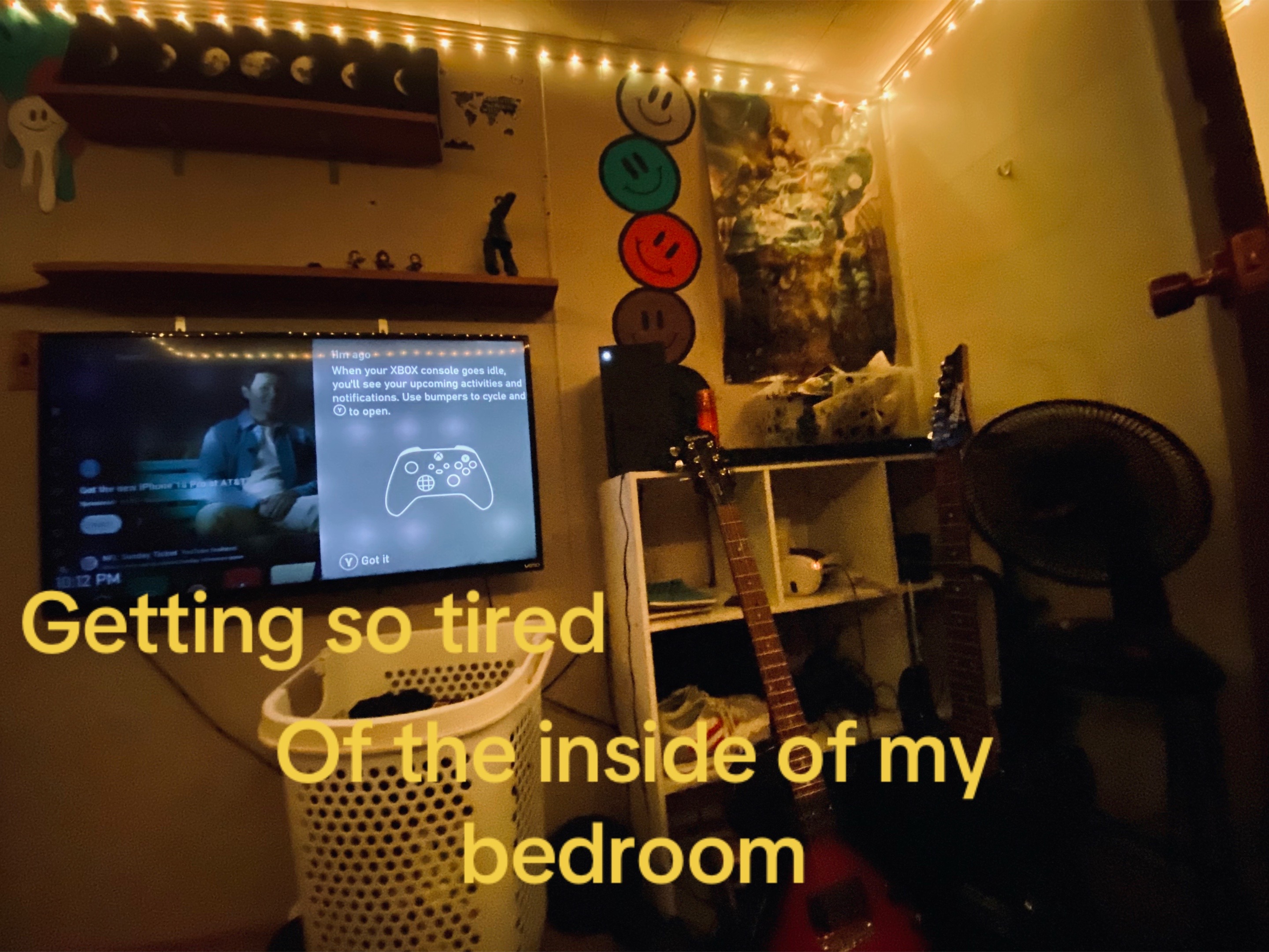 @Cat