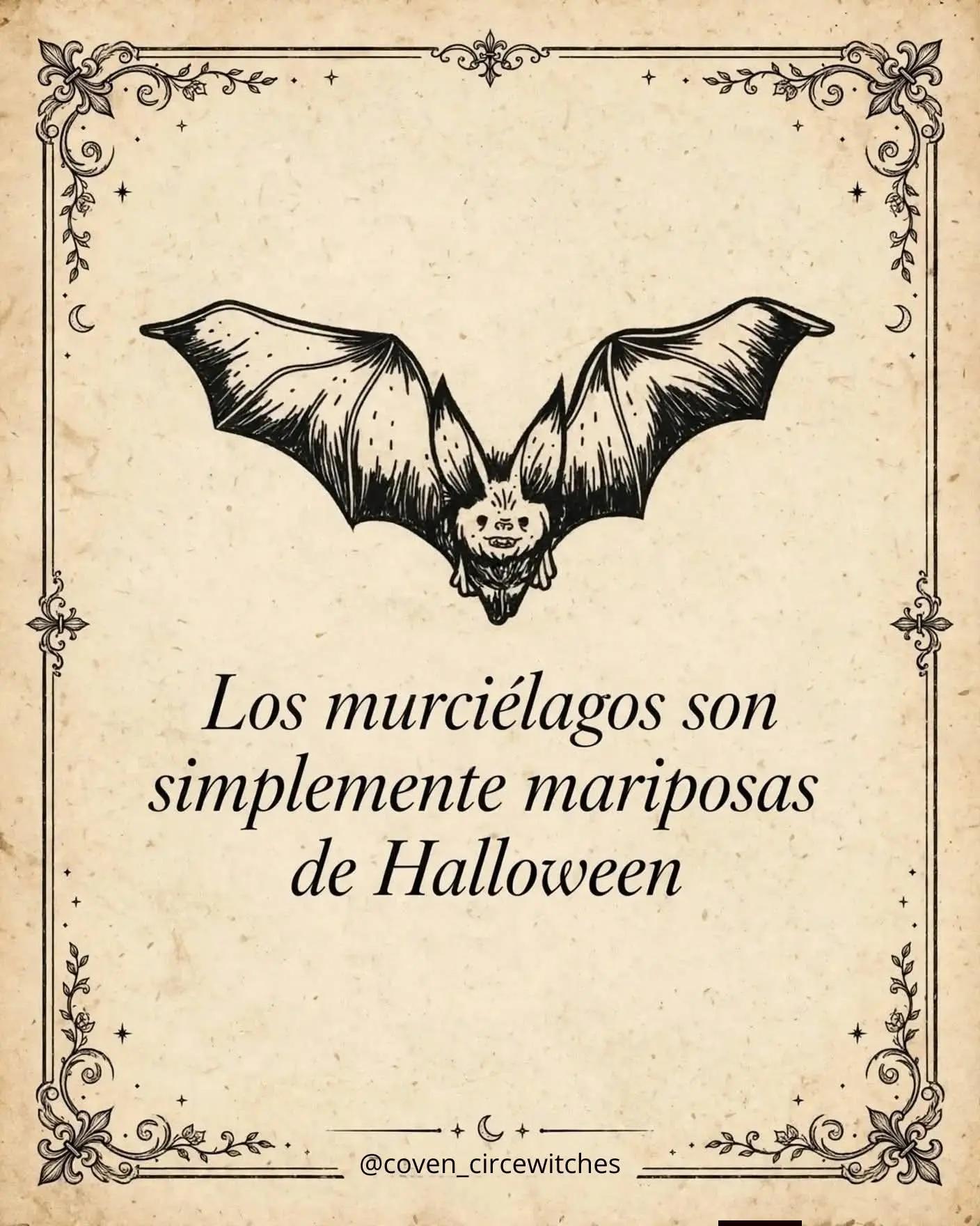 @Sanación Moroyoqui
