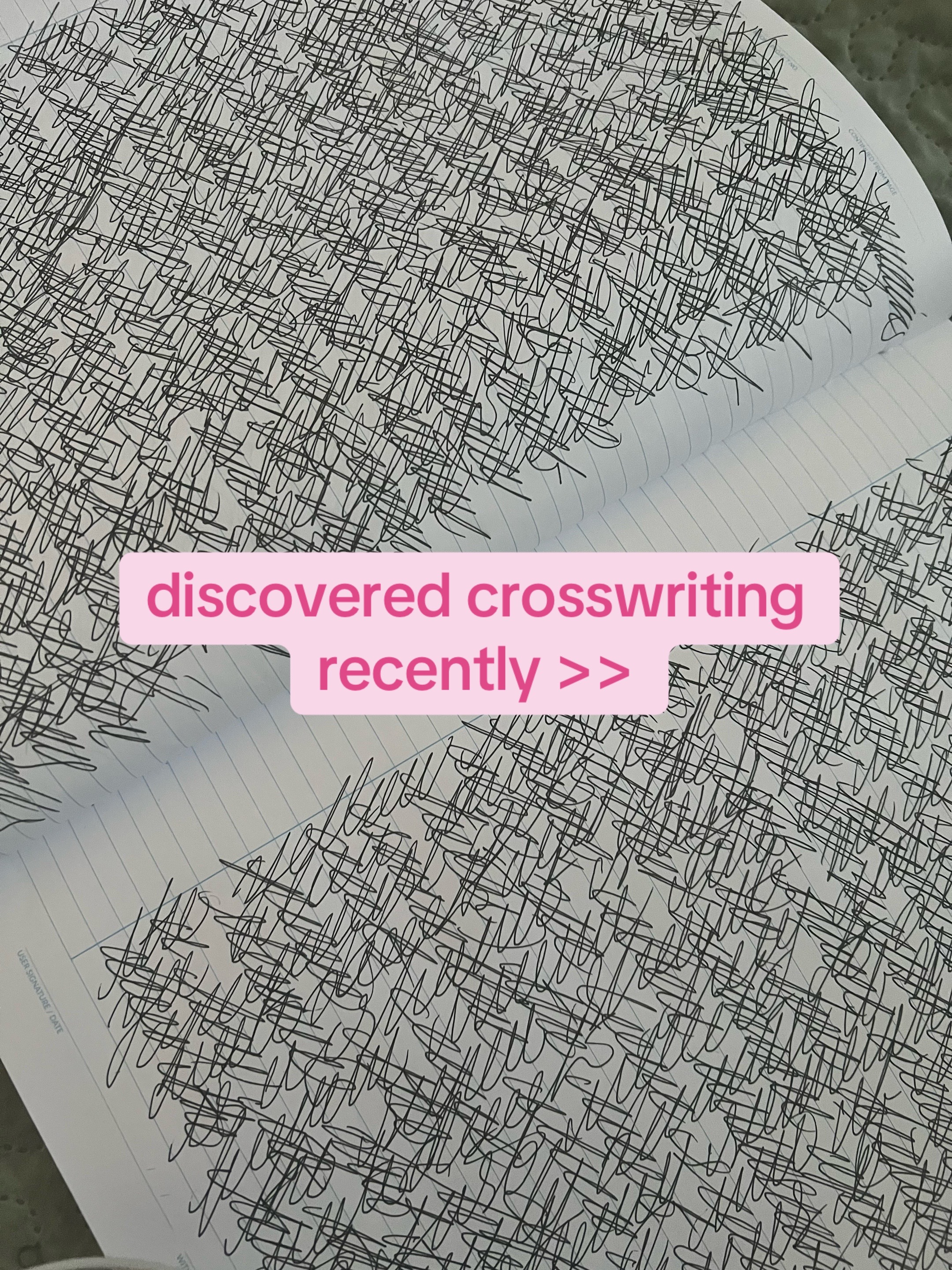 @Dylan | Writer | CC 📚🦋